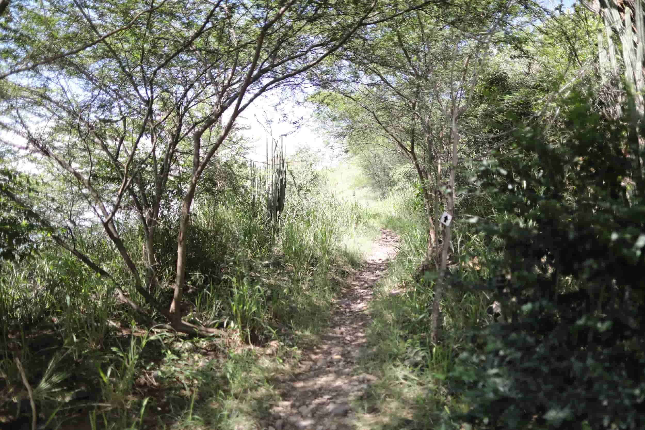 Jungle hike to Happy Bay Beach