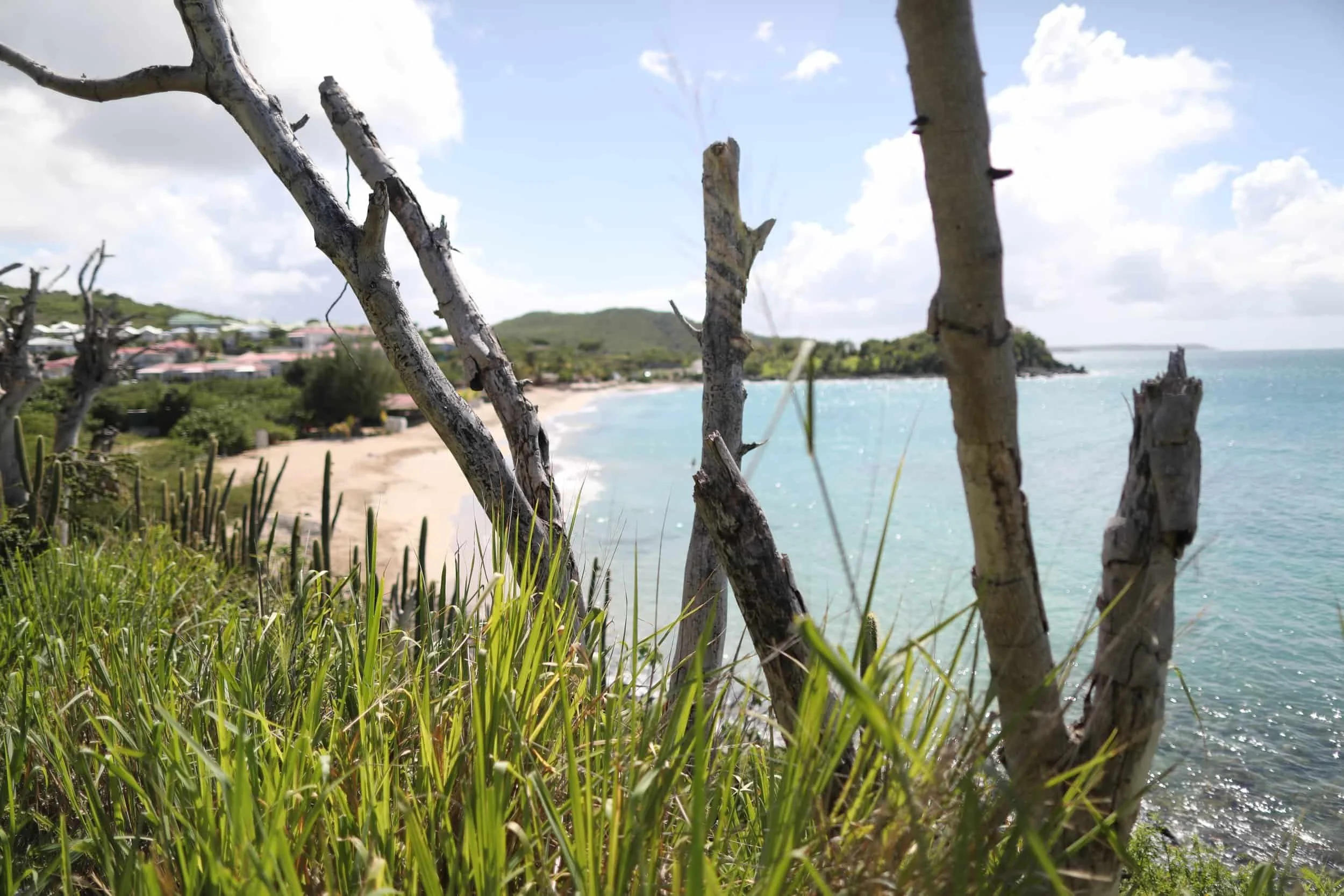 Jungle hike to Happy Bay Beach, Saint Martin travel guide