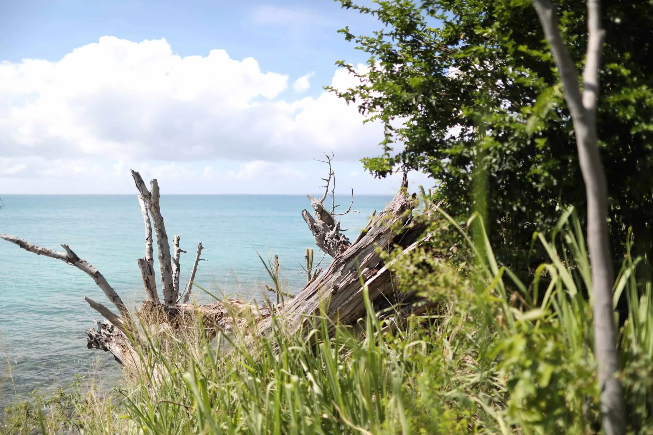 Jungle hike to Happy Bay Beach