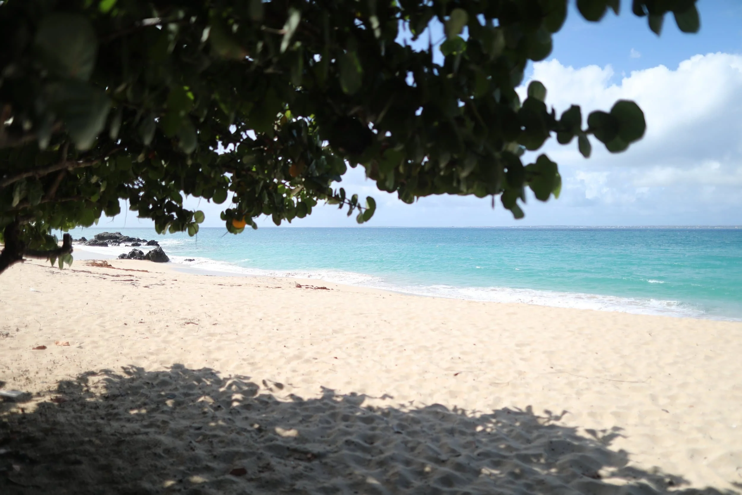 Happy Bay Beach, Saint Martin travel guide