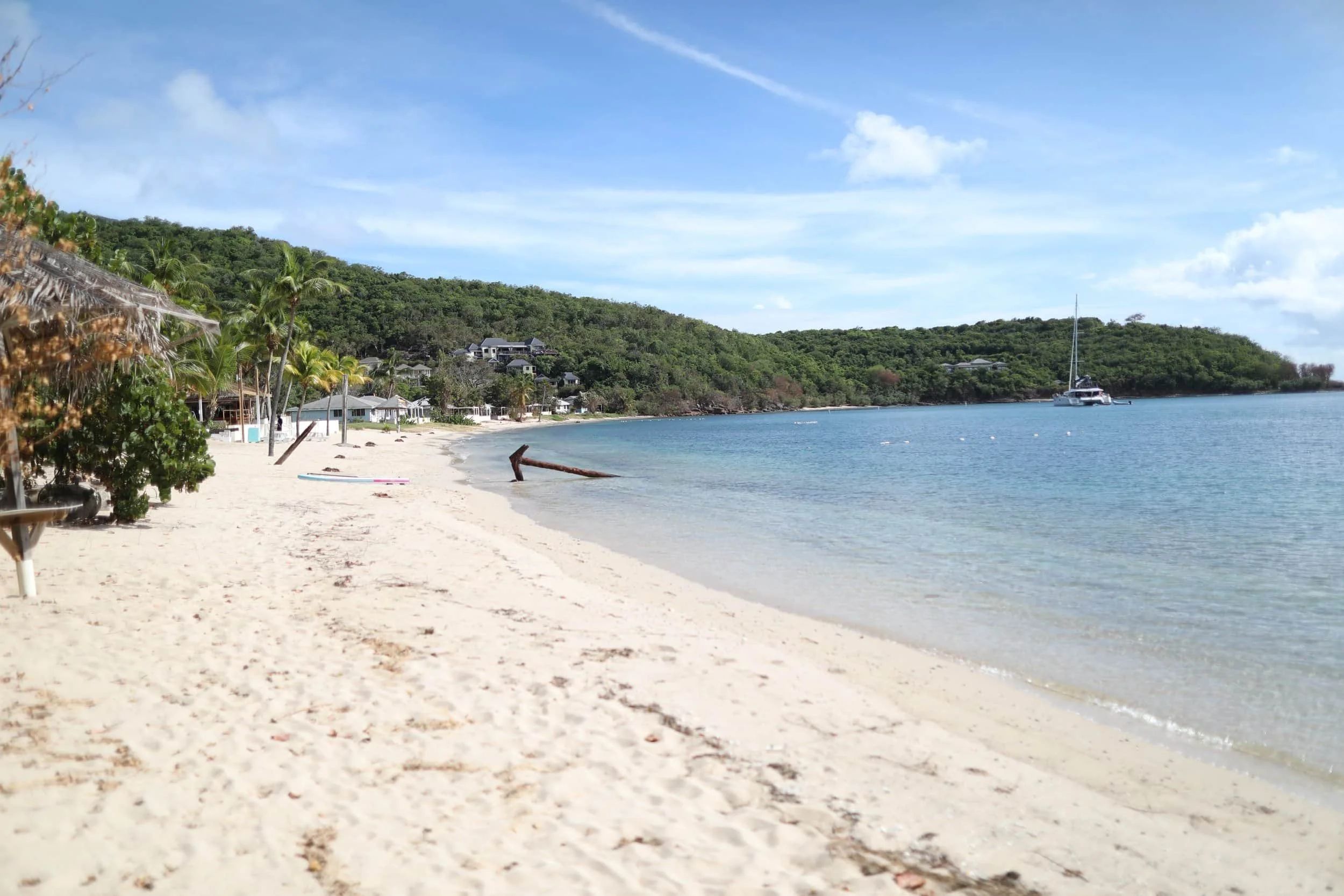 Beach on Antigua island, anchor at the edge of the water and green plants on shore