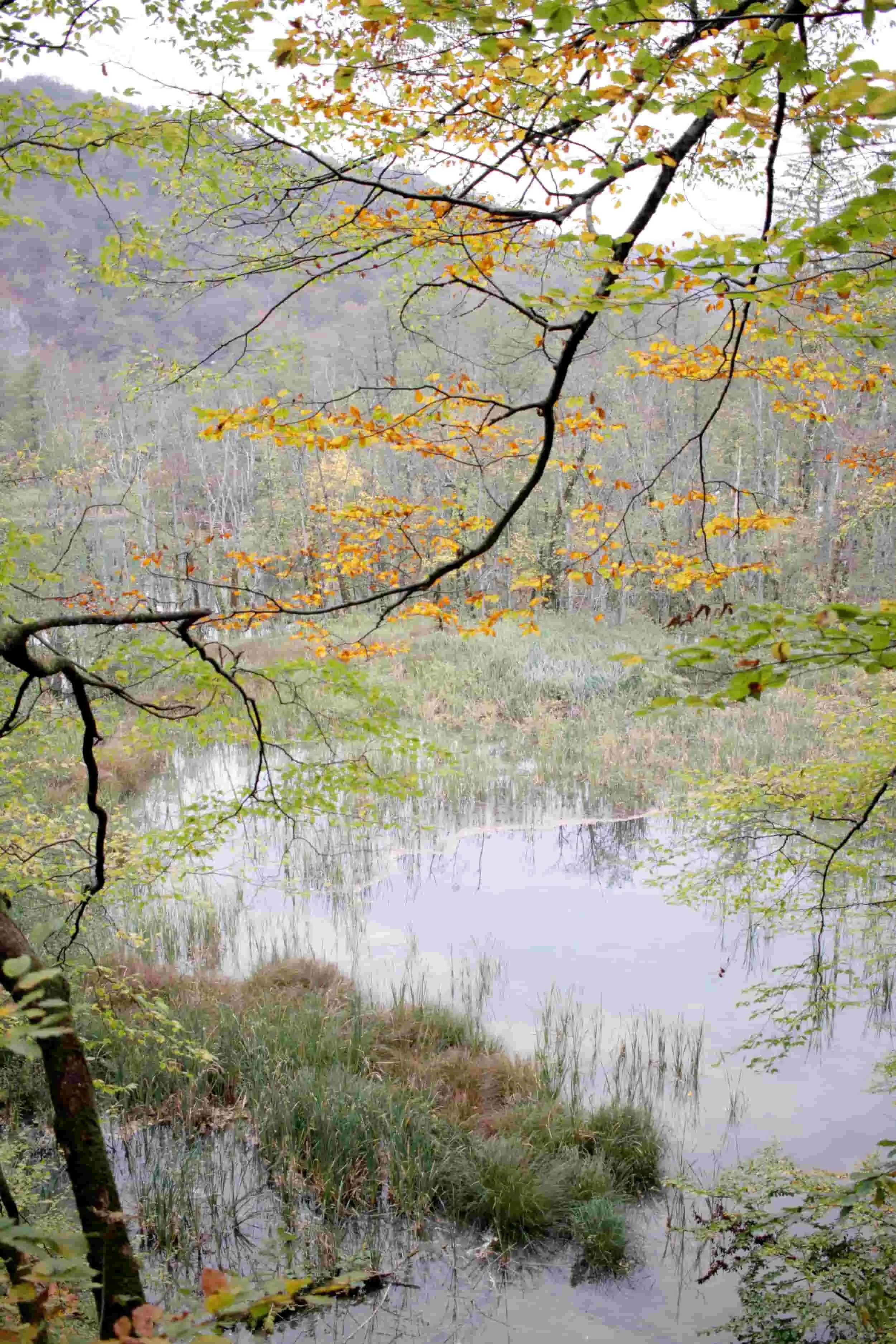 Views of Upper Lakes at Plitviče Lakes National Park