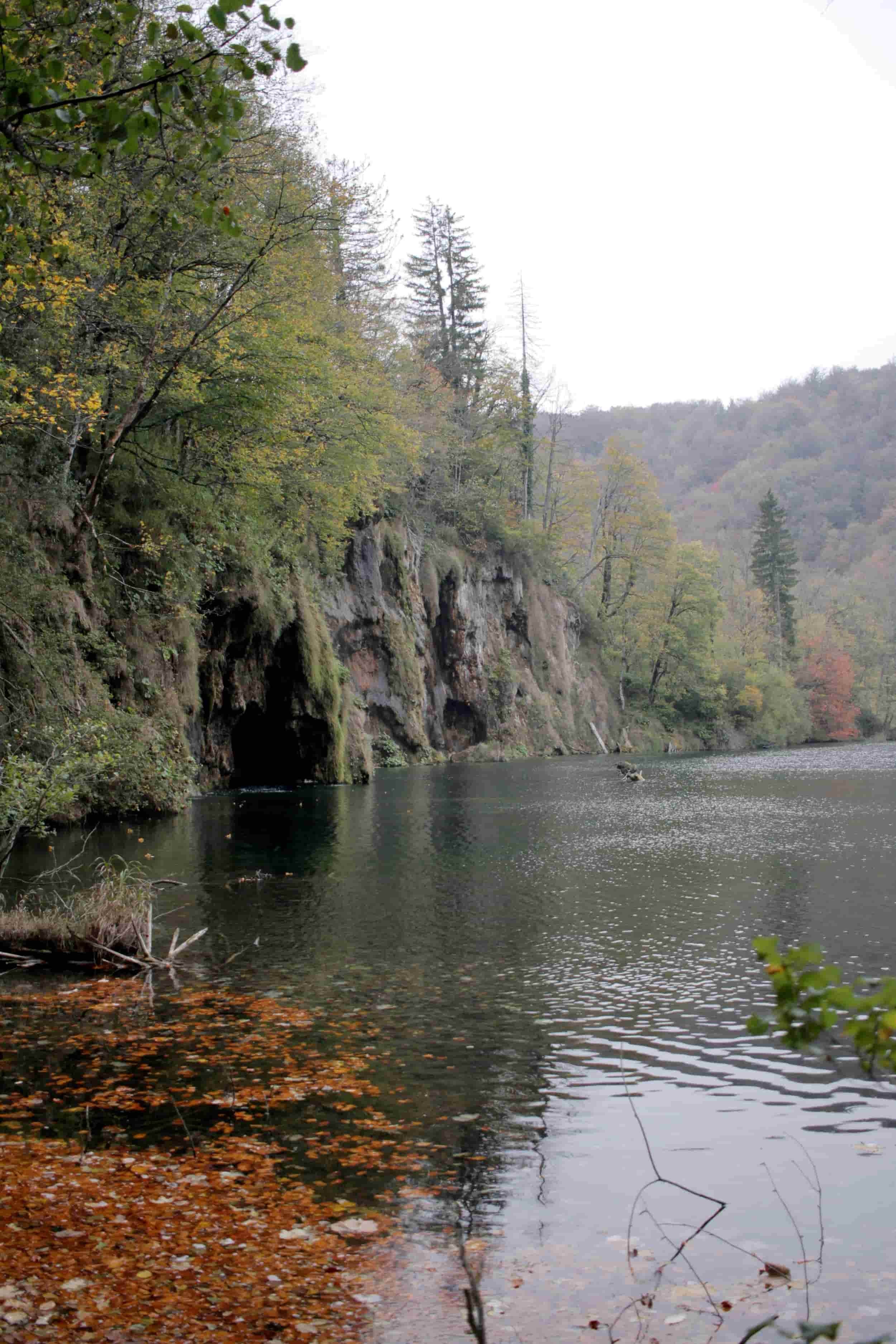 Forest views of Upper Lakes at Plitviče Lakes National Park