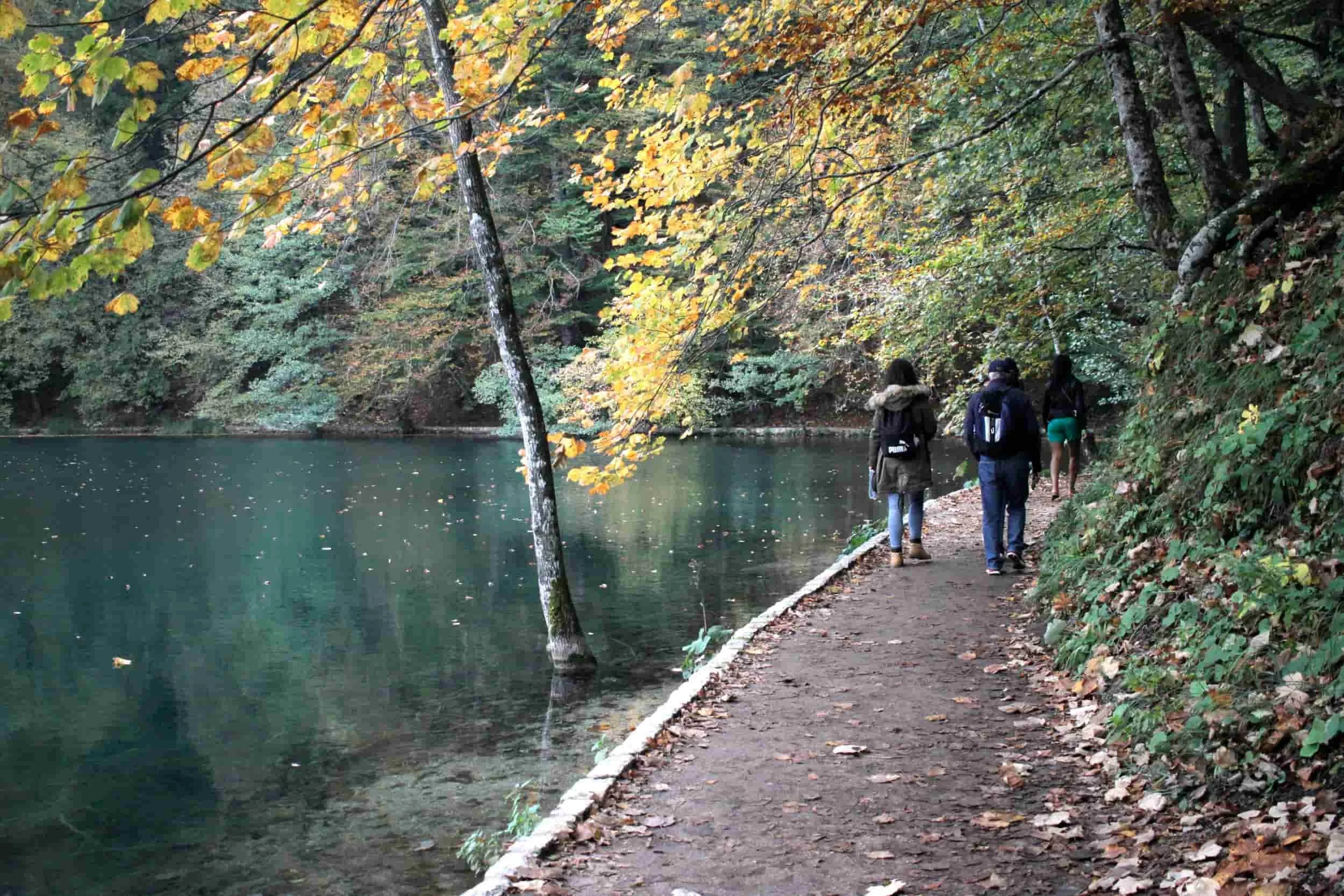 Forest and lake views of Upper Lakes at Plitviče Lakes National Park