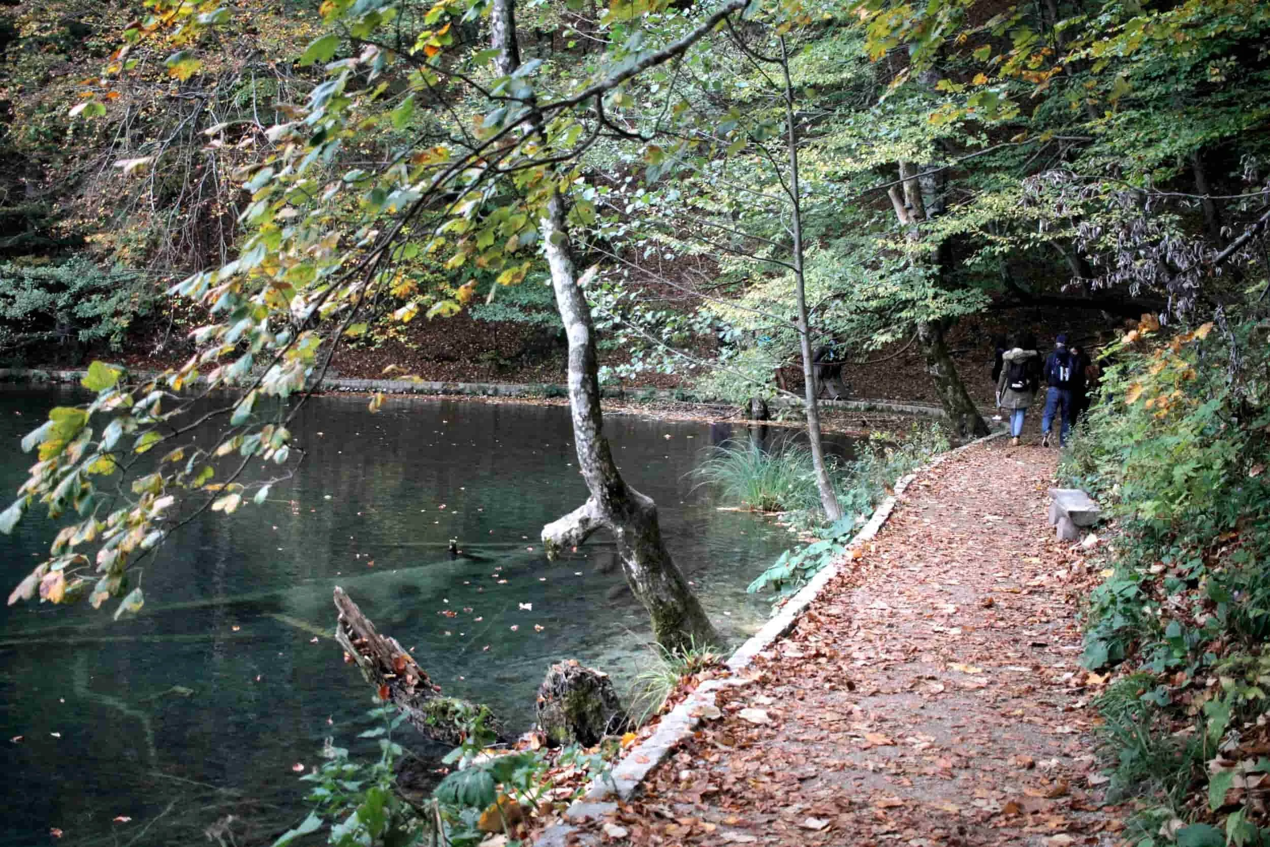 Forest and lake views of Upper Lakes at Plitviče Lakes National Park Croatia