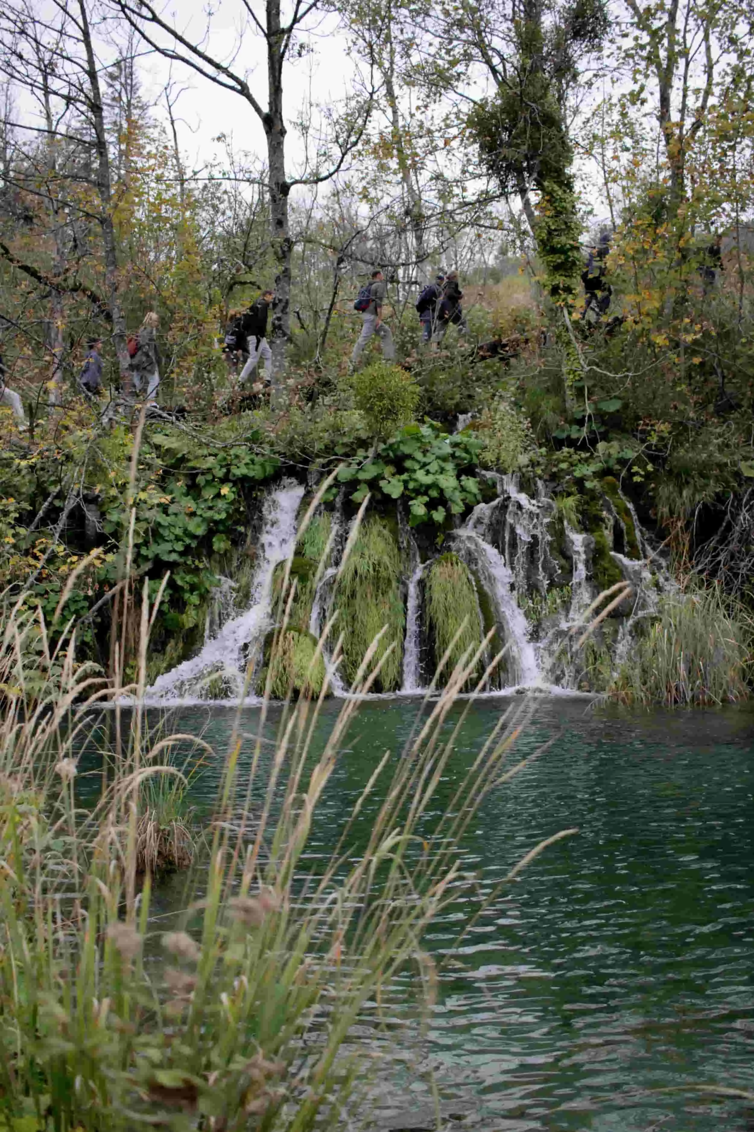 Forest, waterfall and lake views of Upper Lakes at Plitviče Lakes National Park Croatia