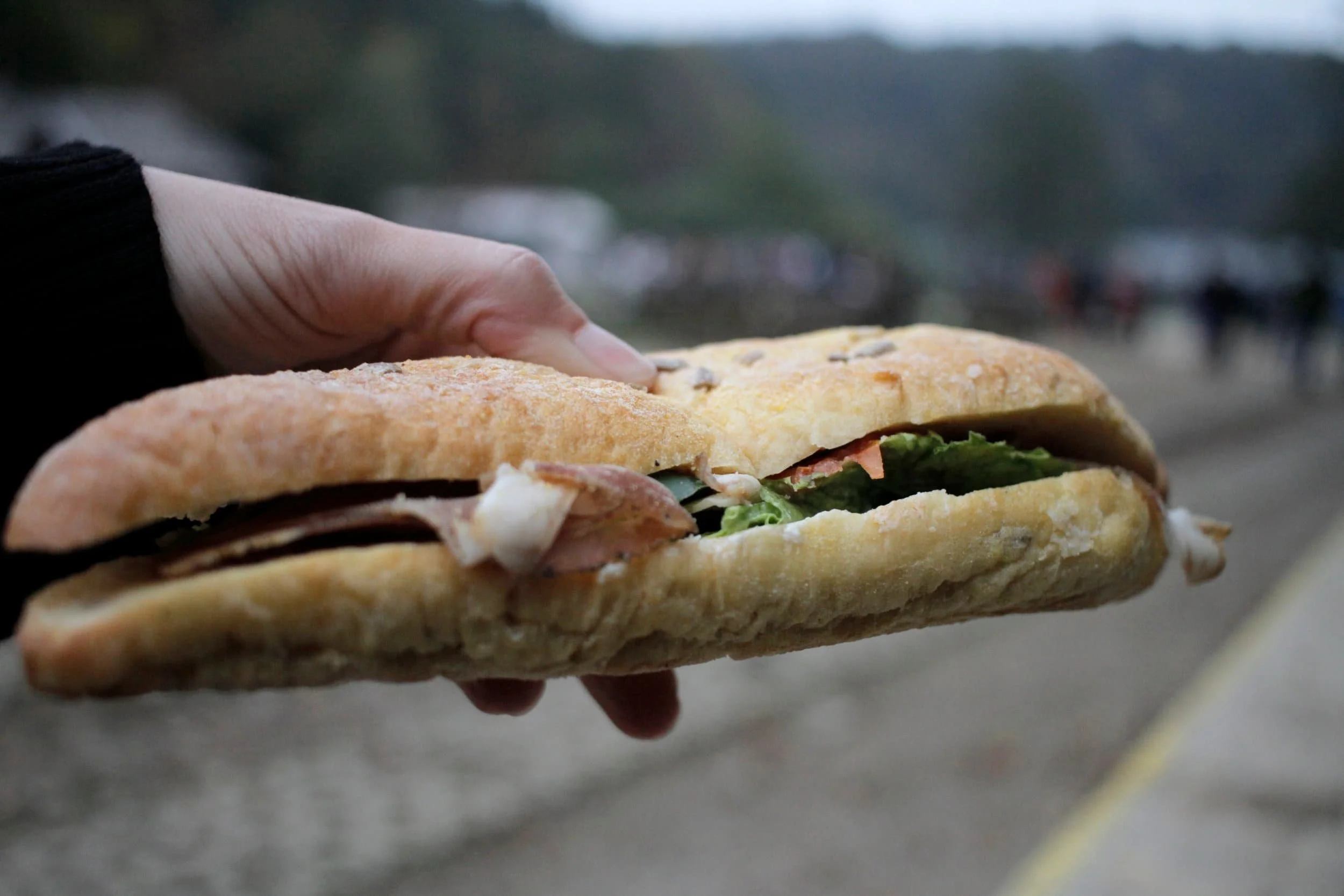 Hand holding a sandwich at Plitviče Lakes National Park Croatia