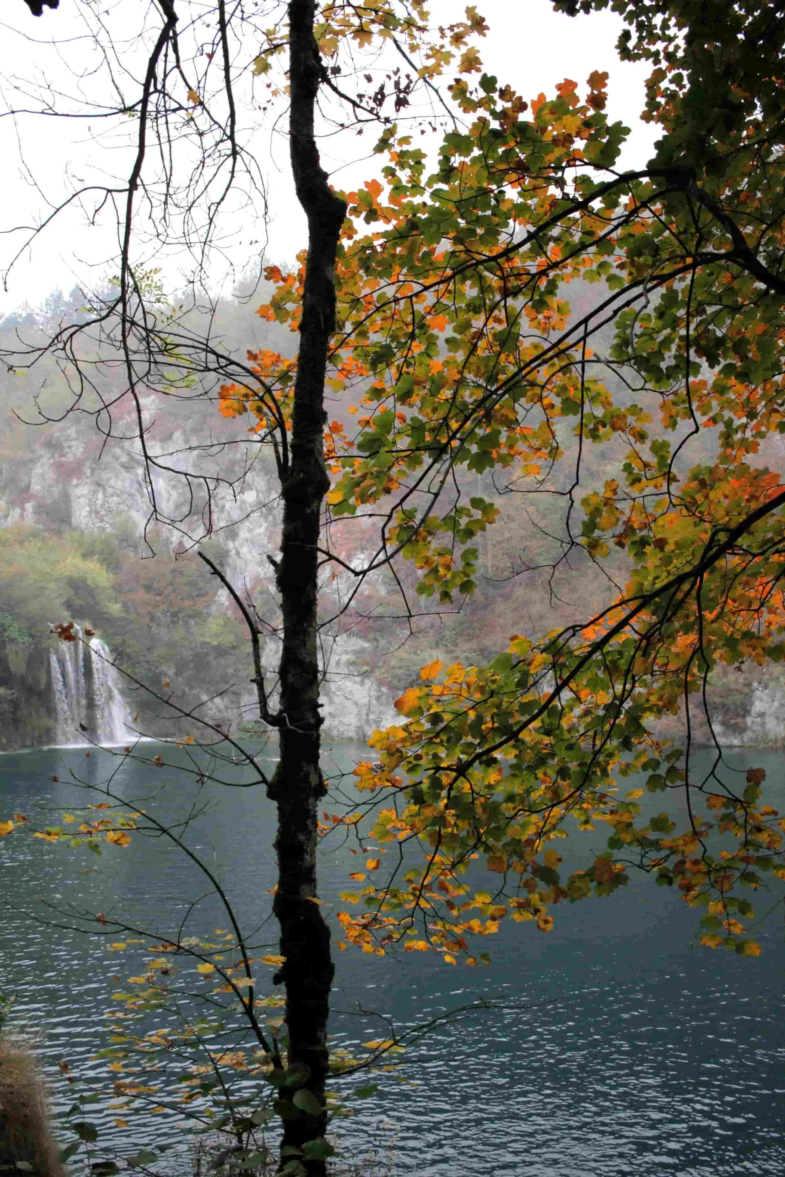 Forest, waterfall and lake views of Lower Lakes at Plitviče Lakes National Park Croatia