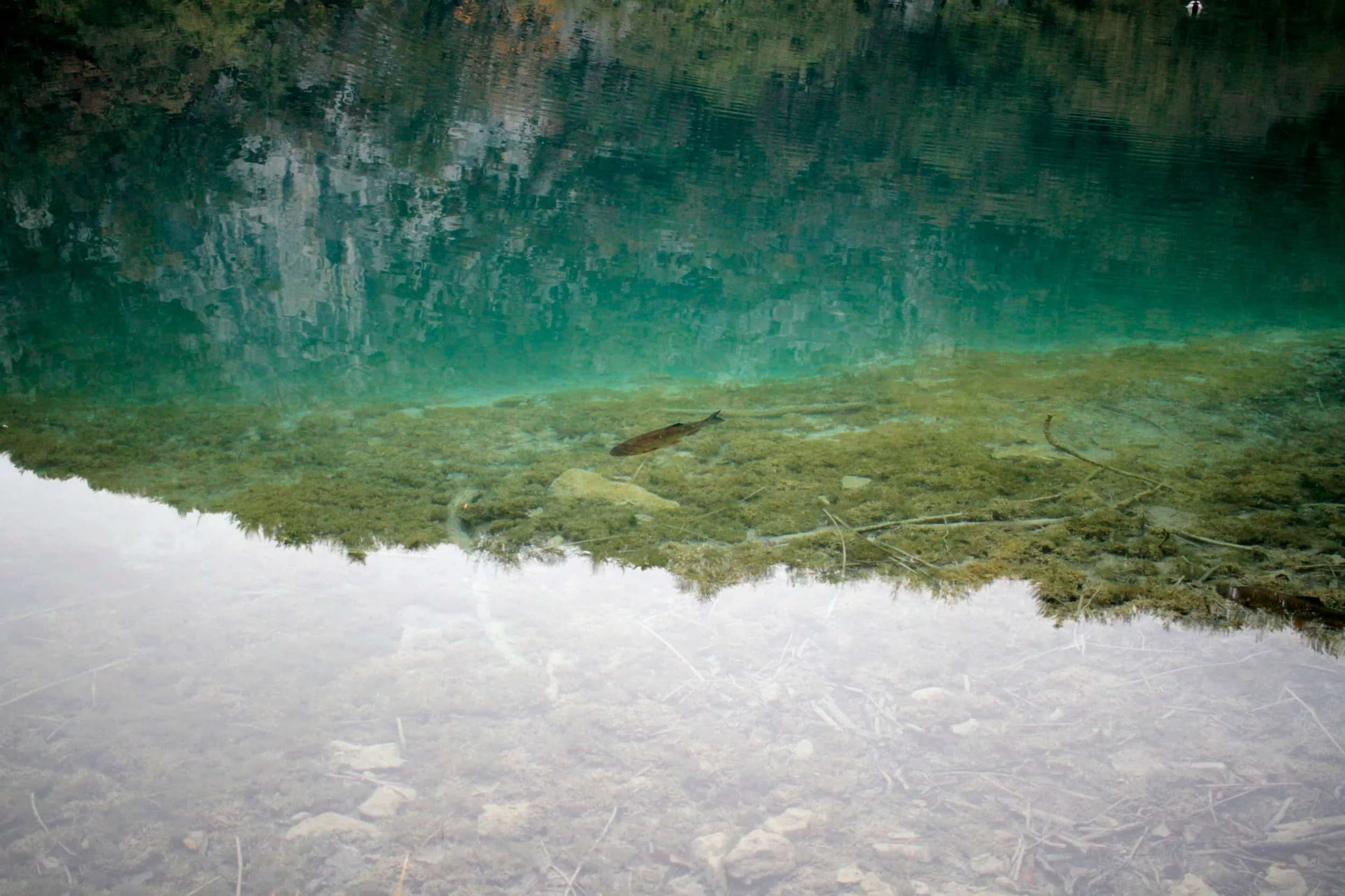 Forest, waterfall and lake views of Lower Lakes at Plitviče Lakes National Park Croatia