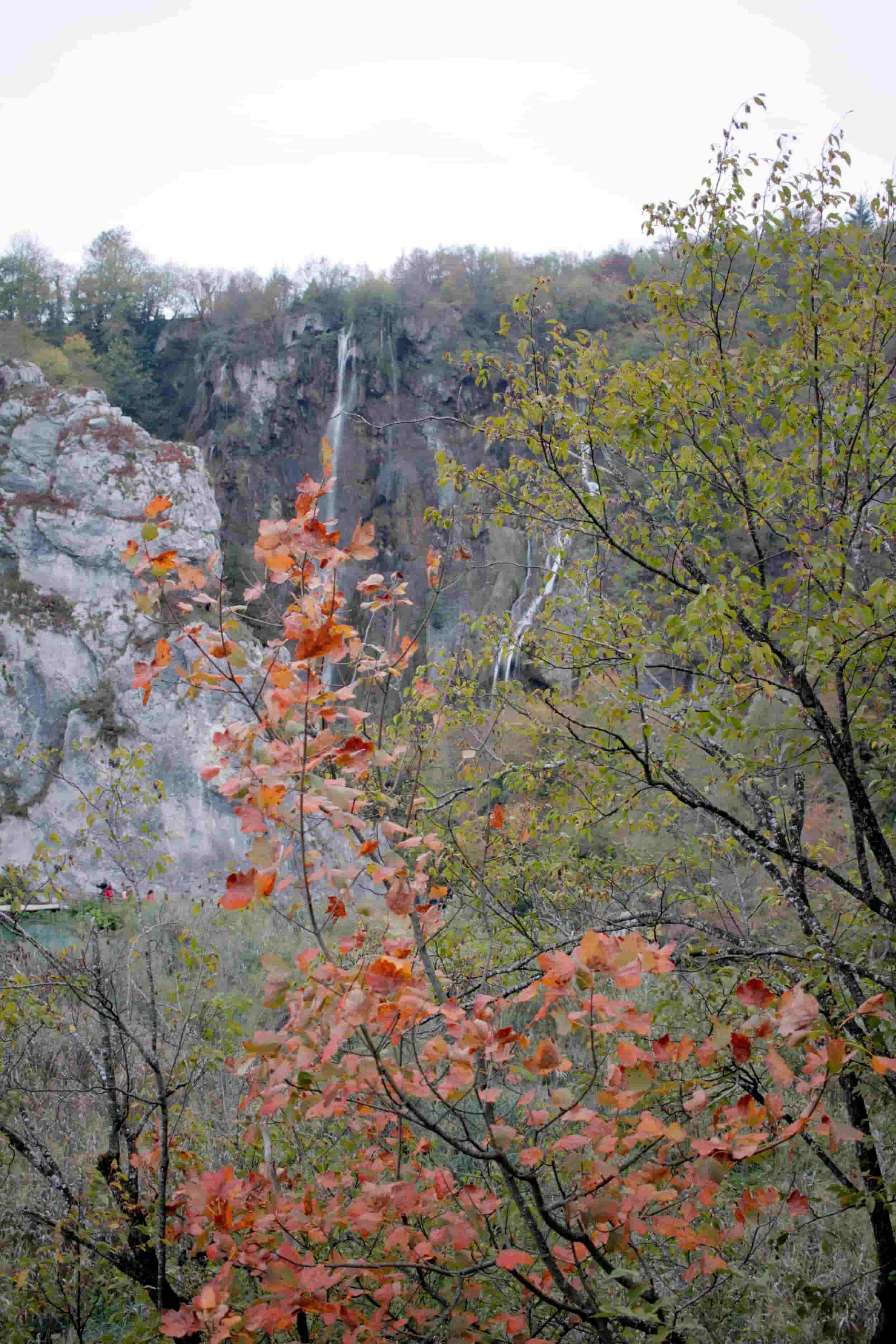 Forest, waterfall and lake views of Lower Lakes at Plitviče Lakes National Park Croatia