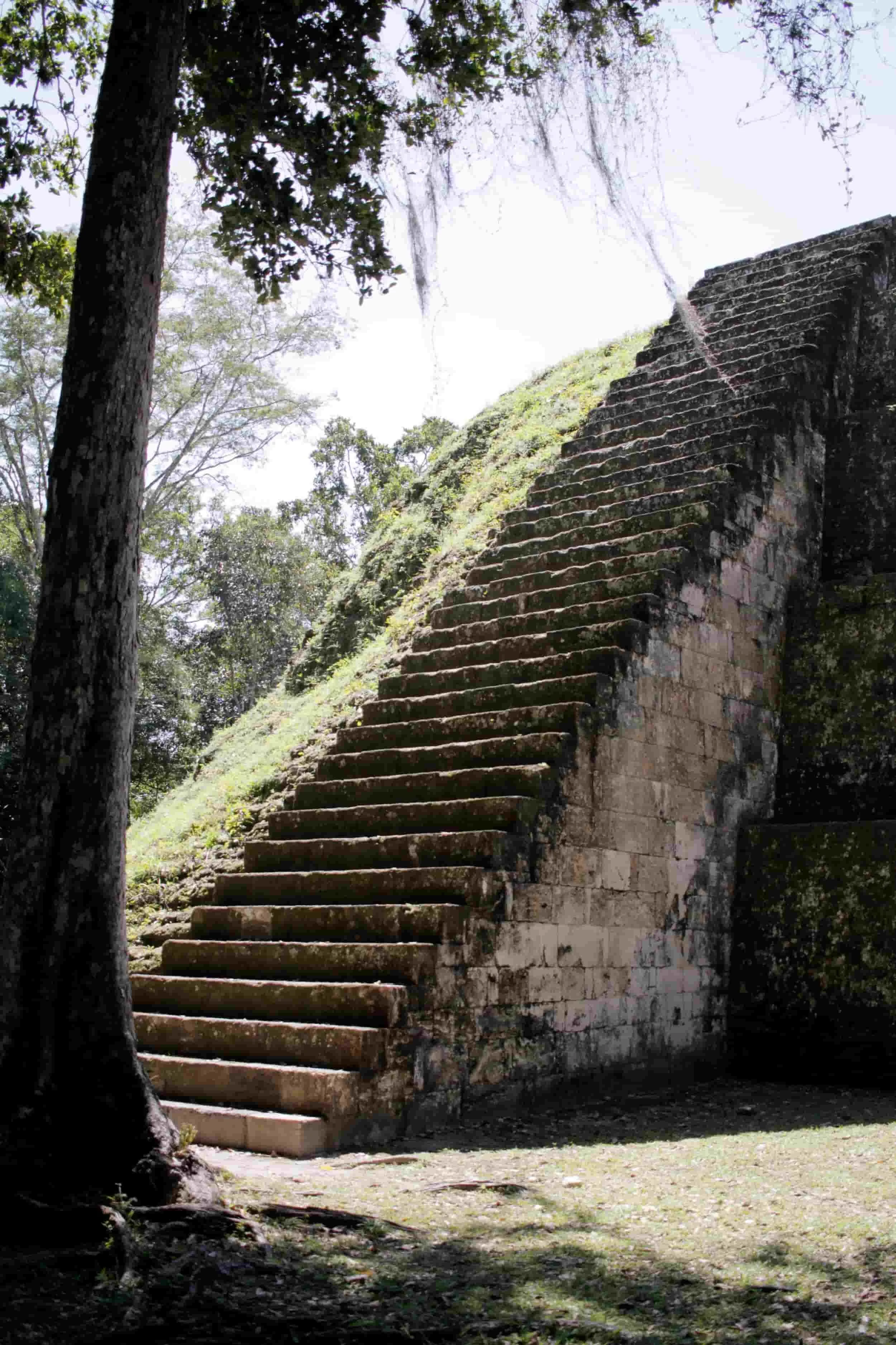 Ruins in the jungle of Tikal National Park in Tikal Guatemala