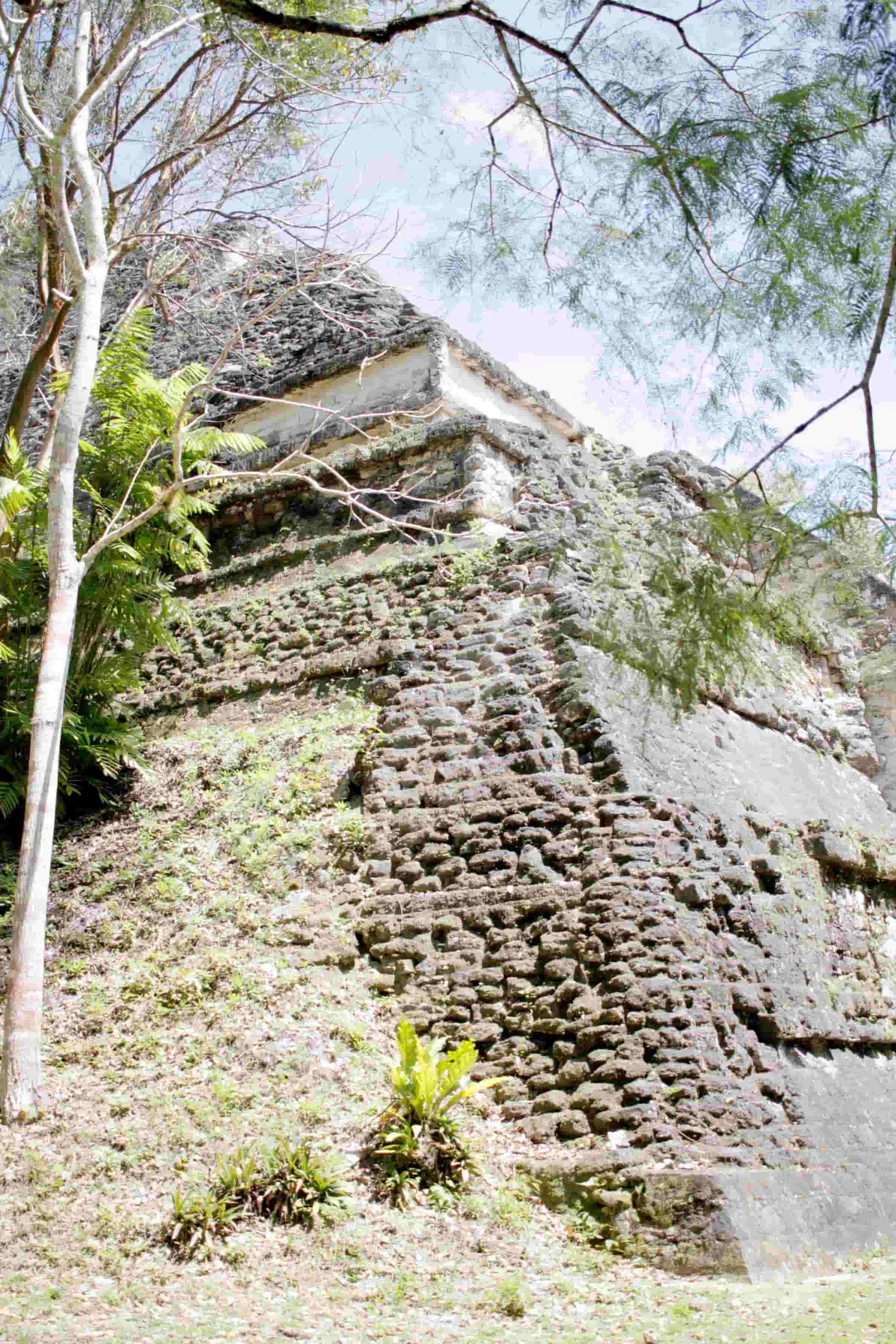 Ruins in the jungle of Tikal National Park in Tikal Guatemala