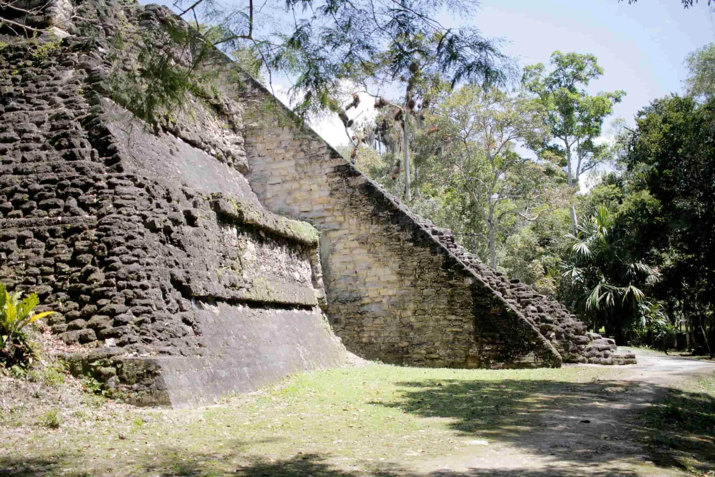Ruins in the jungle of Tikal National Park in Tikal Guatemala