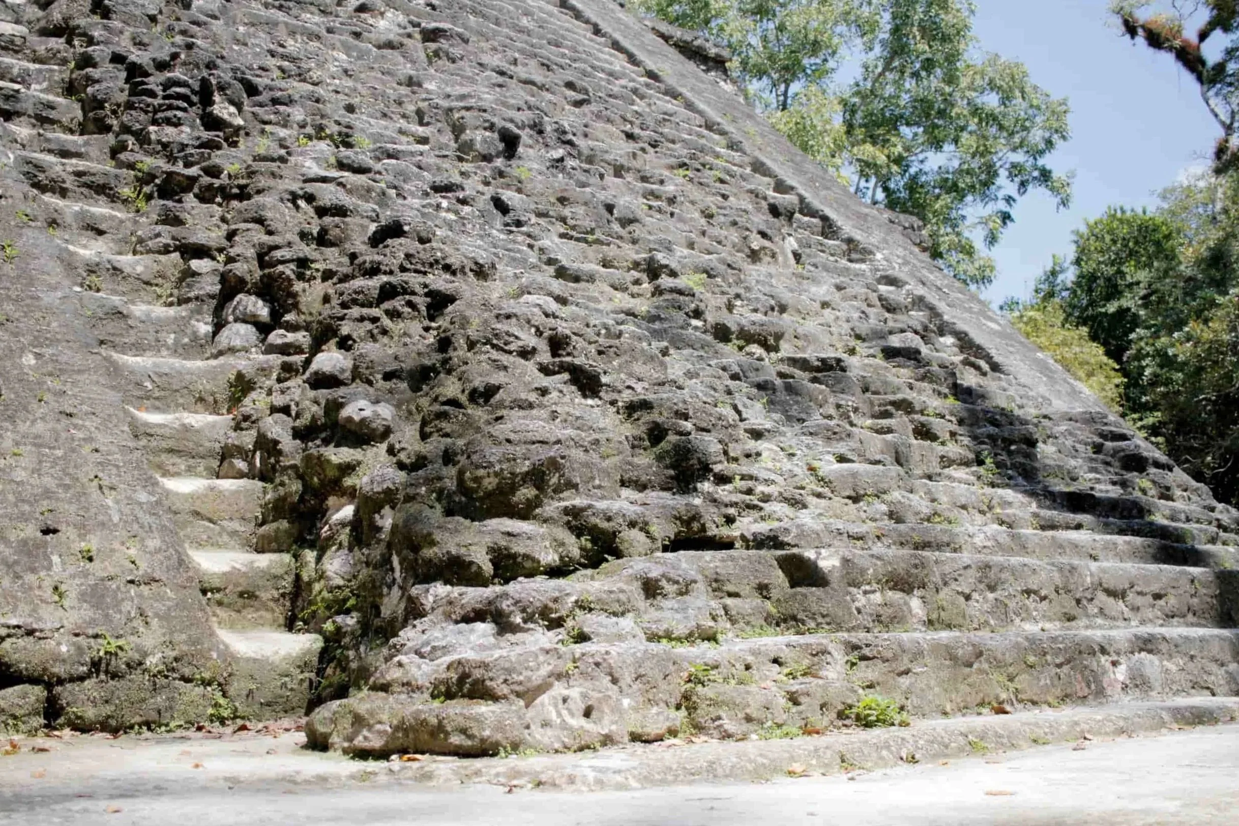 Ruins in the jungle of Tikal National Park in Tikal Guatemala
