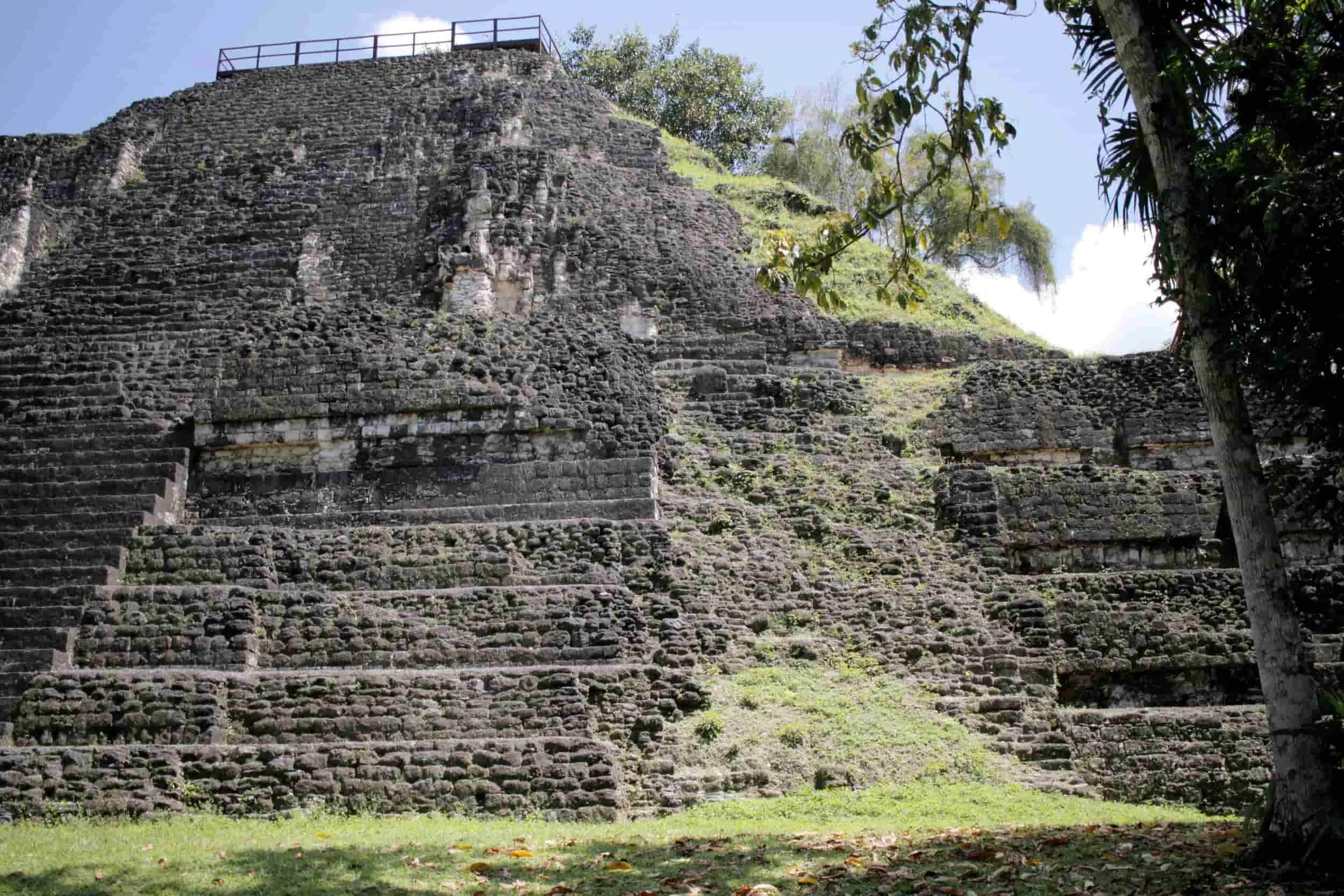 Ruins in the jungle of Tikal National Park in Tikal Guatemala