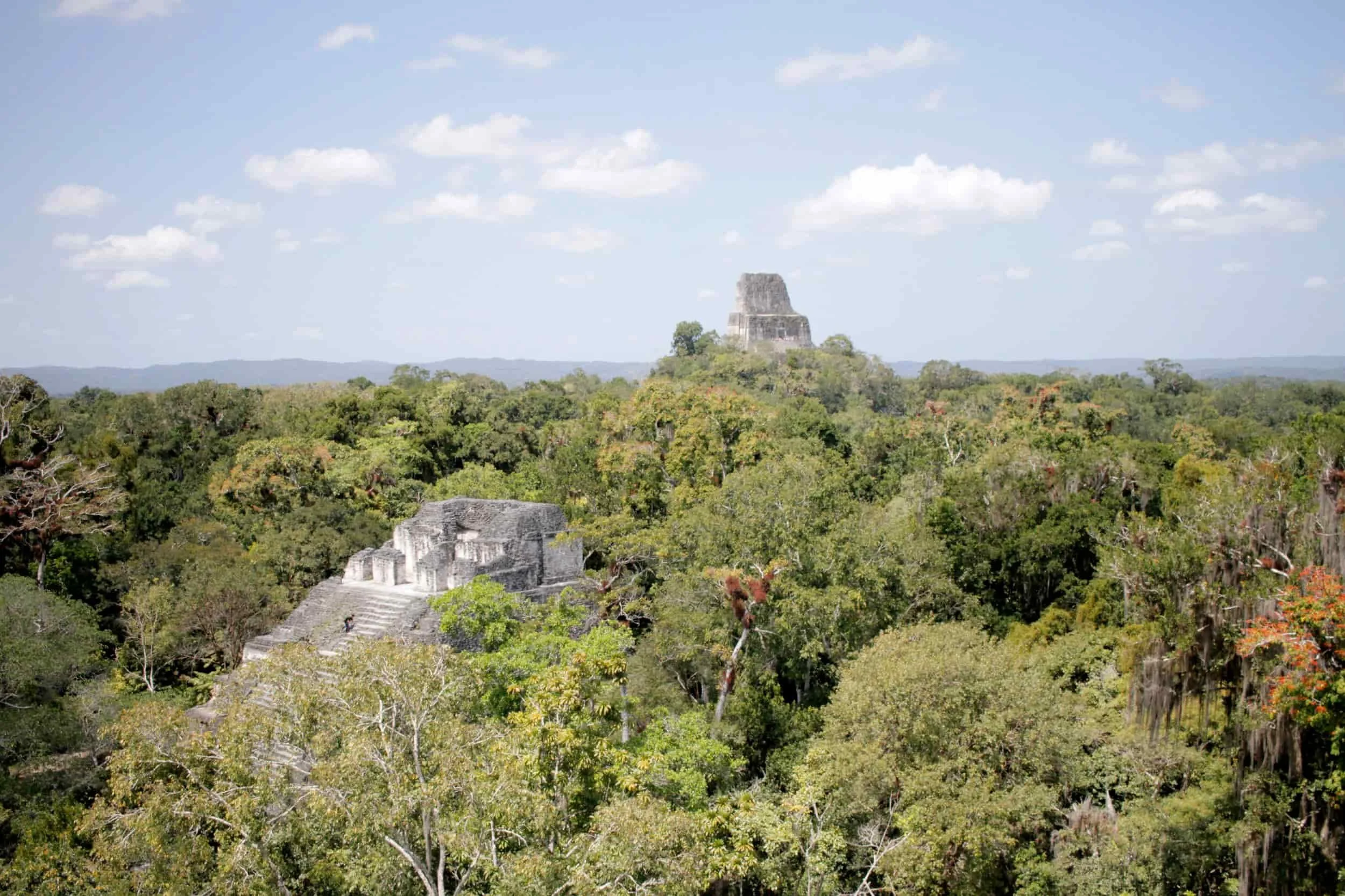 Ruins in the jungle of Tikal National Park in Tikal Guatemala