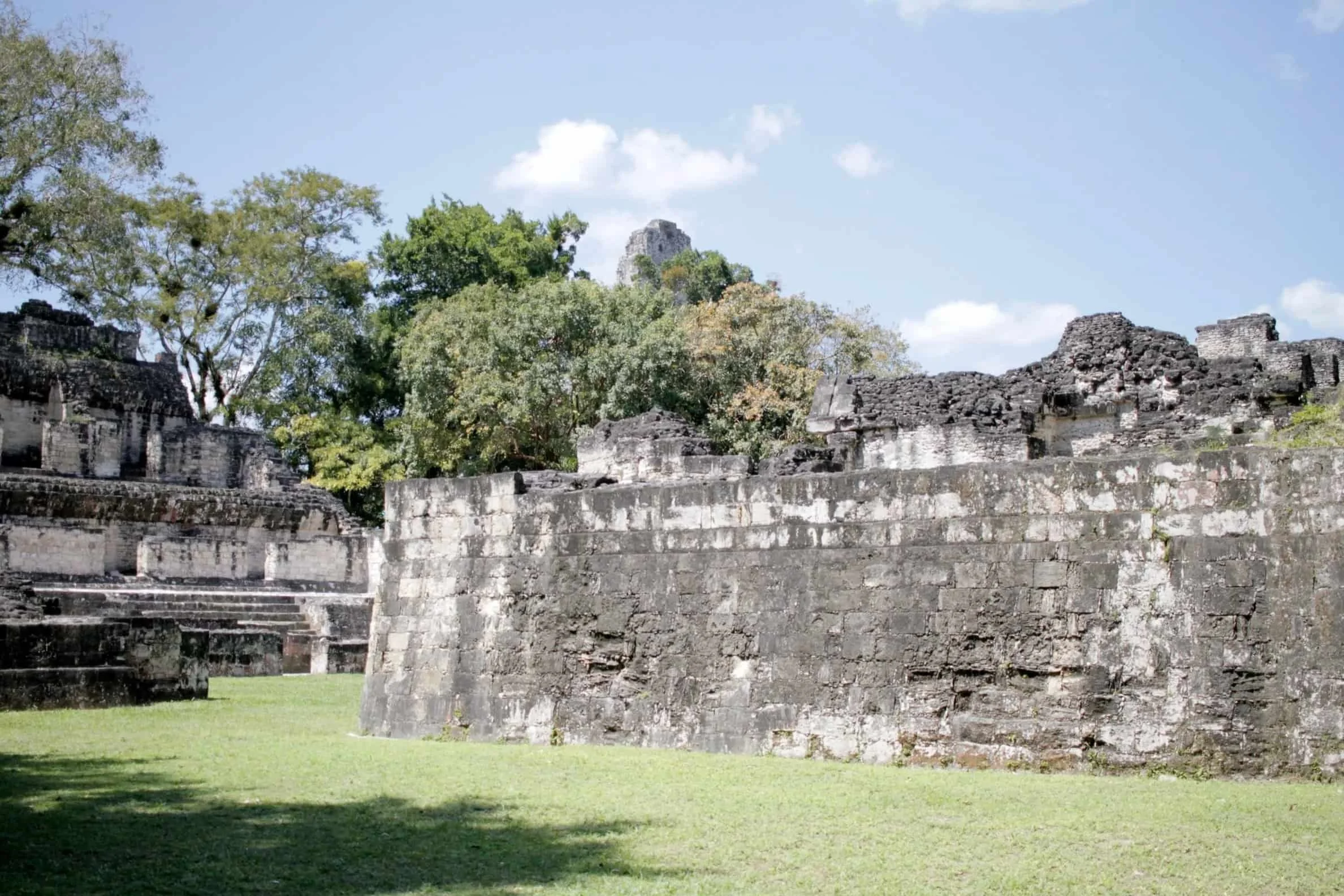 Ruins in the jungle of Tikal National Park in Tikal Guatemala