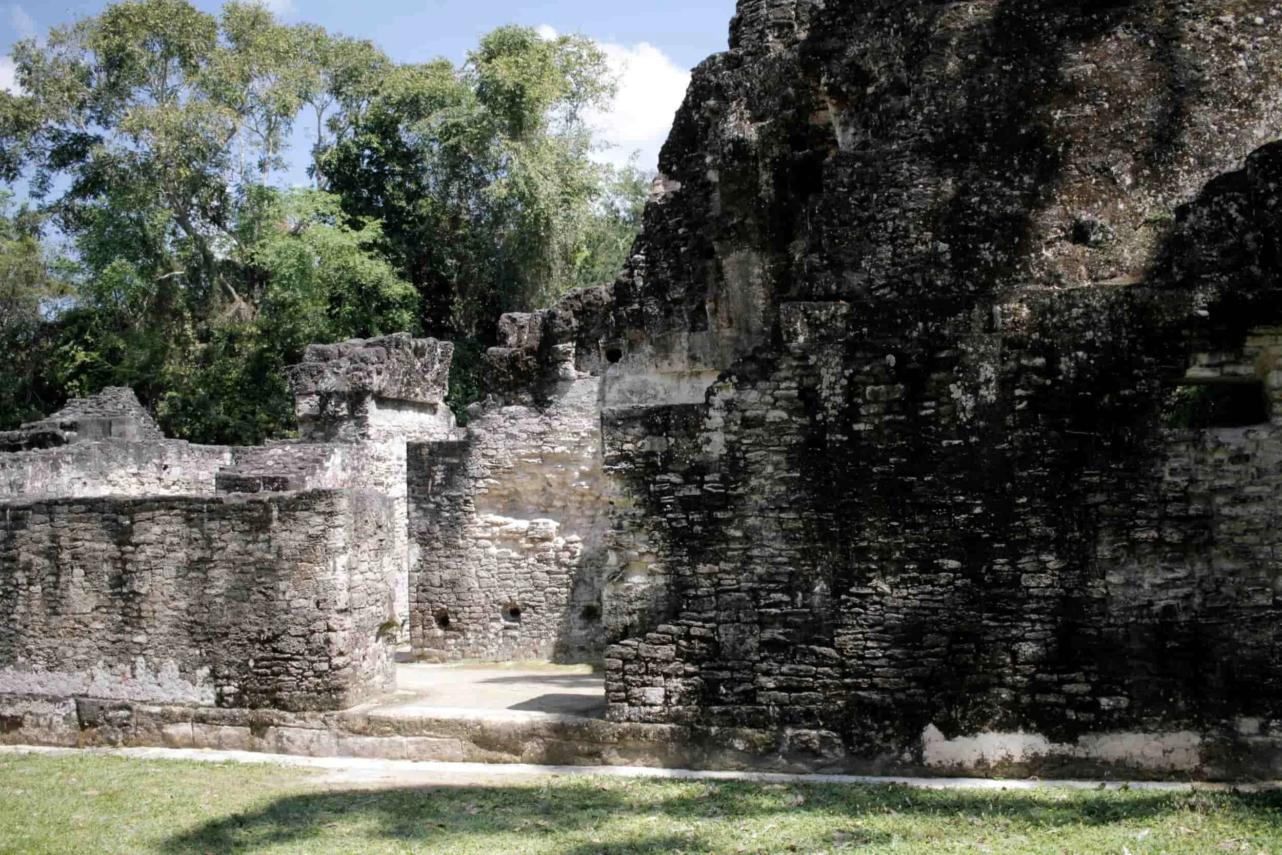 Ruins in the jungle of Tikal National Park in Tikal Guatemala