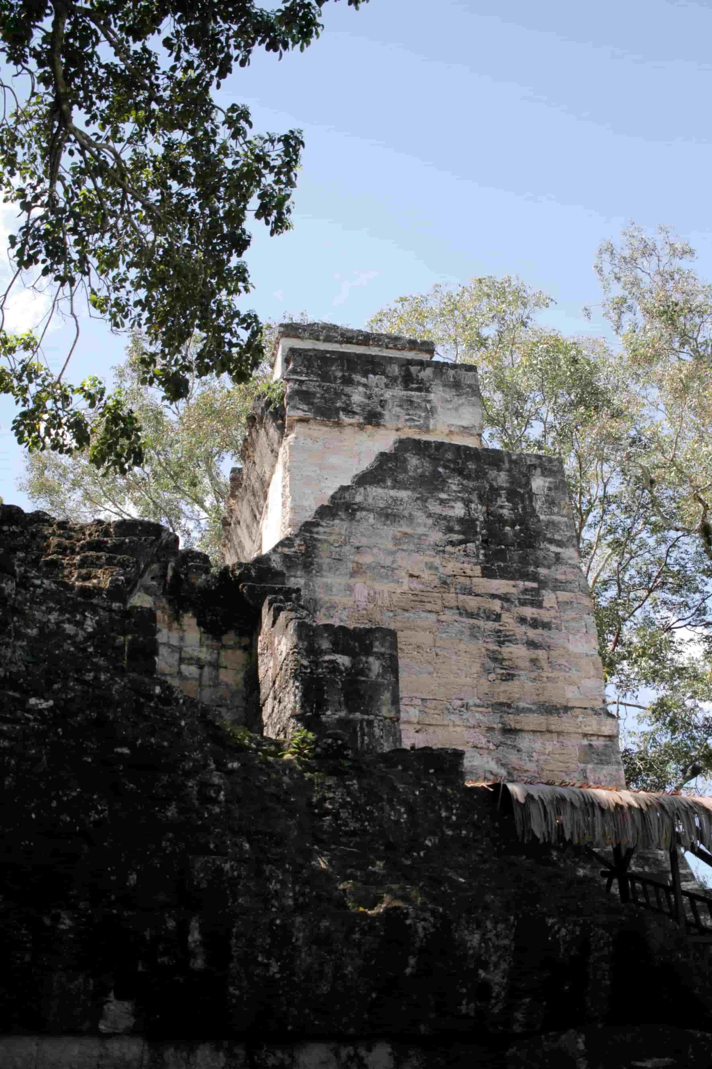 Ruins in the jungle of Tikal National Park in Tikal Guatemala