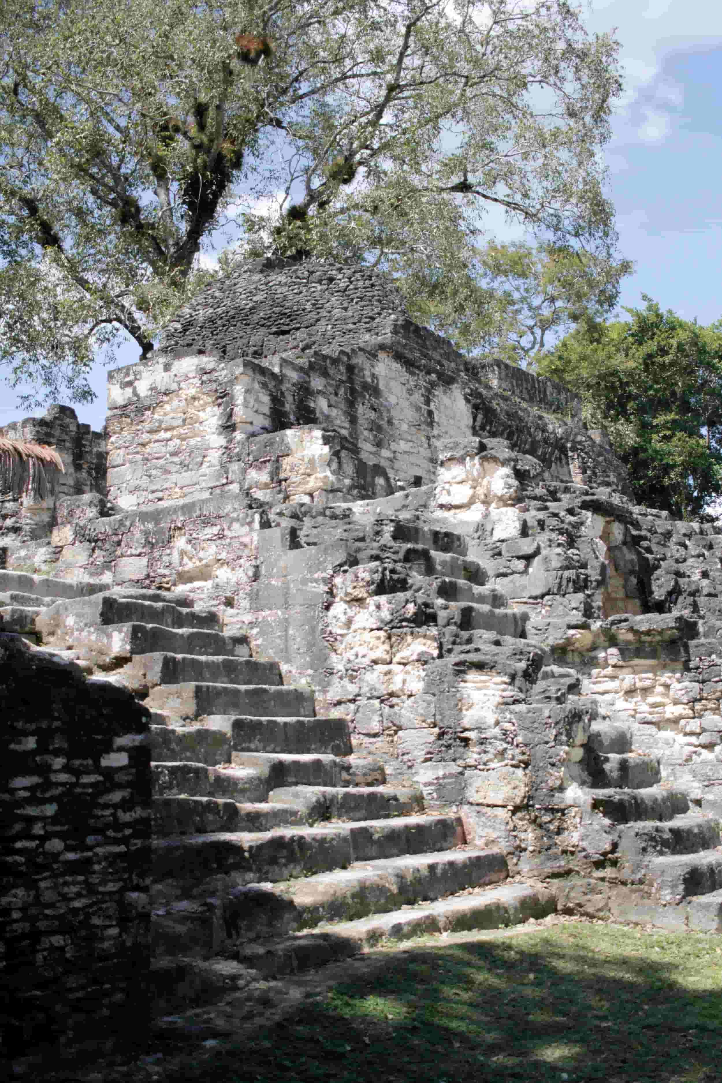 Ruins in the jungle of Tikal National Park in Tikal Guatemala