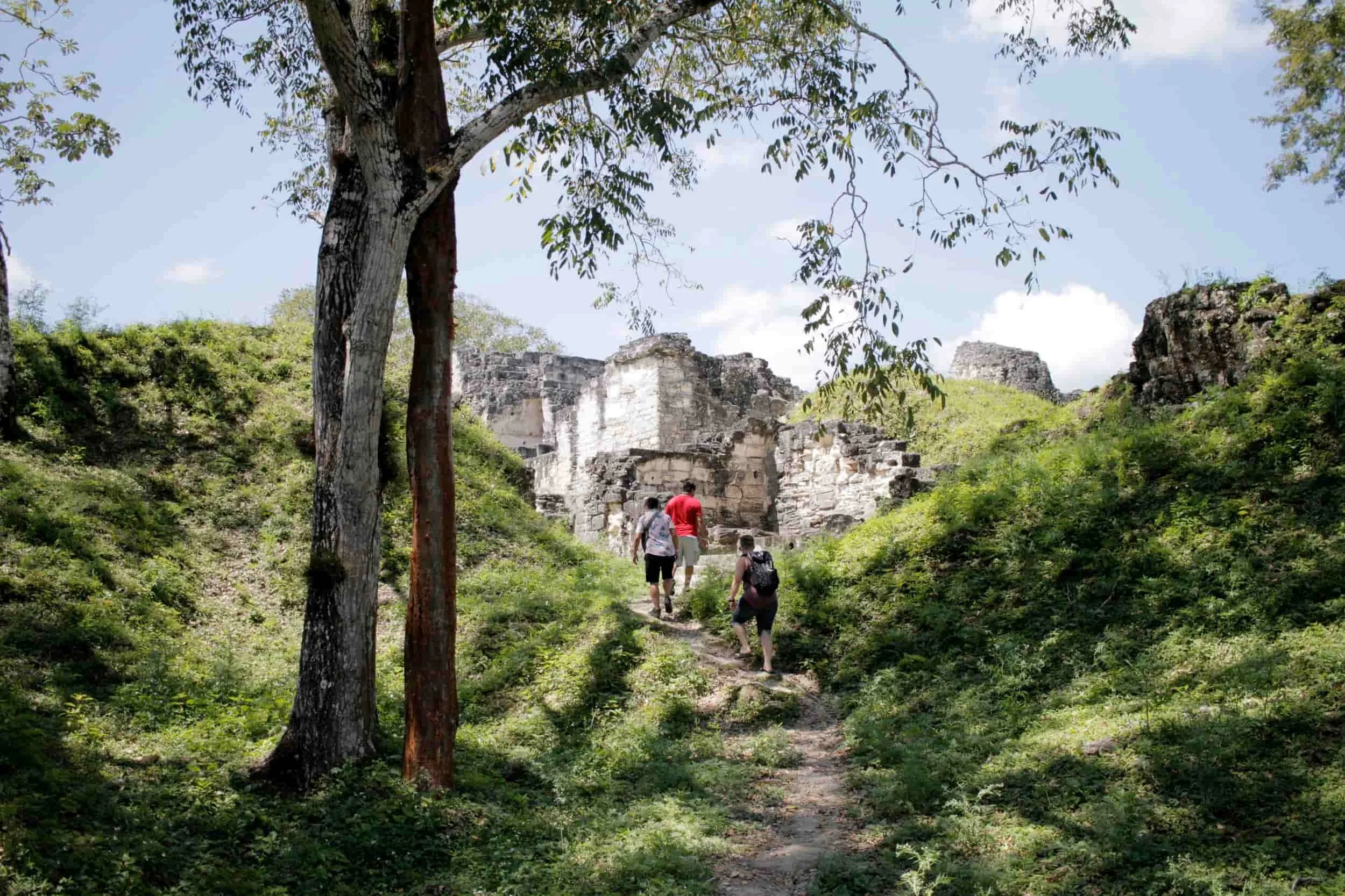 Ruins in the jungle of Tikal National Park in Tikal Guatemala