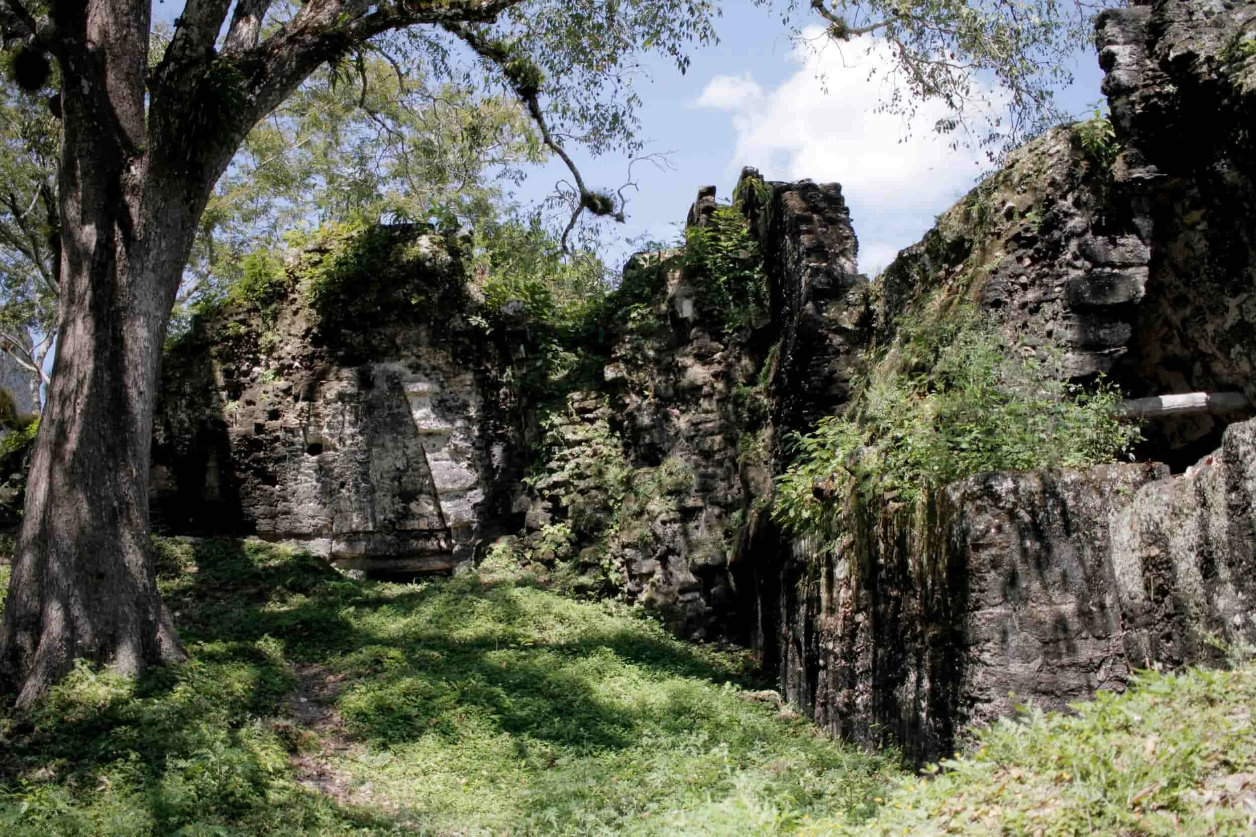 Ruins in the jungle of Tikal National Park in Tikal Guatemala