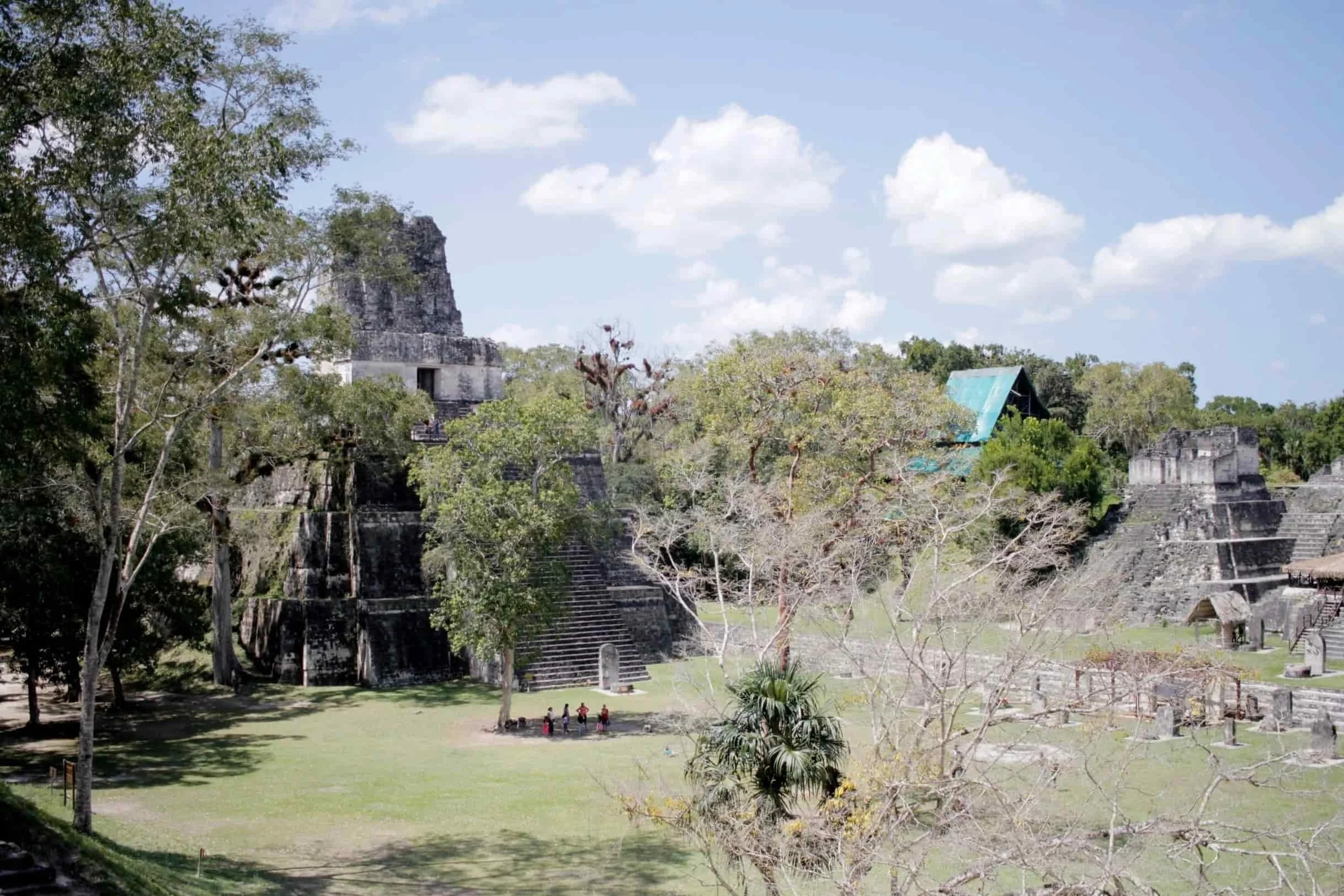 Ruins in the jungle of Tikal National Park in Tikal Guatemala