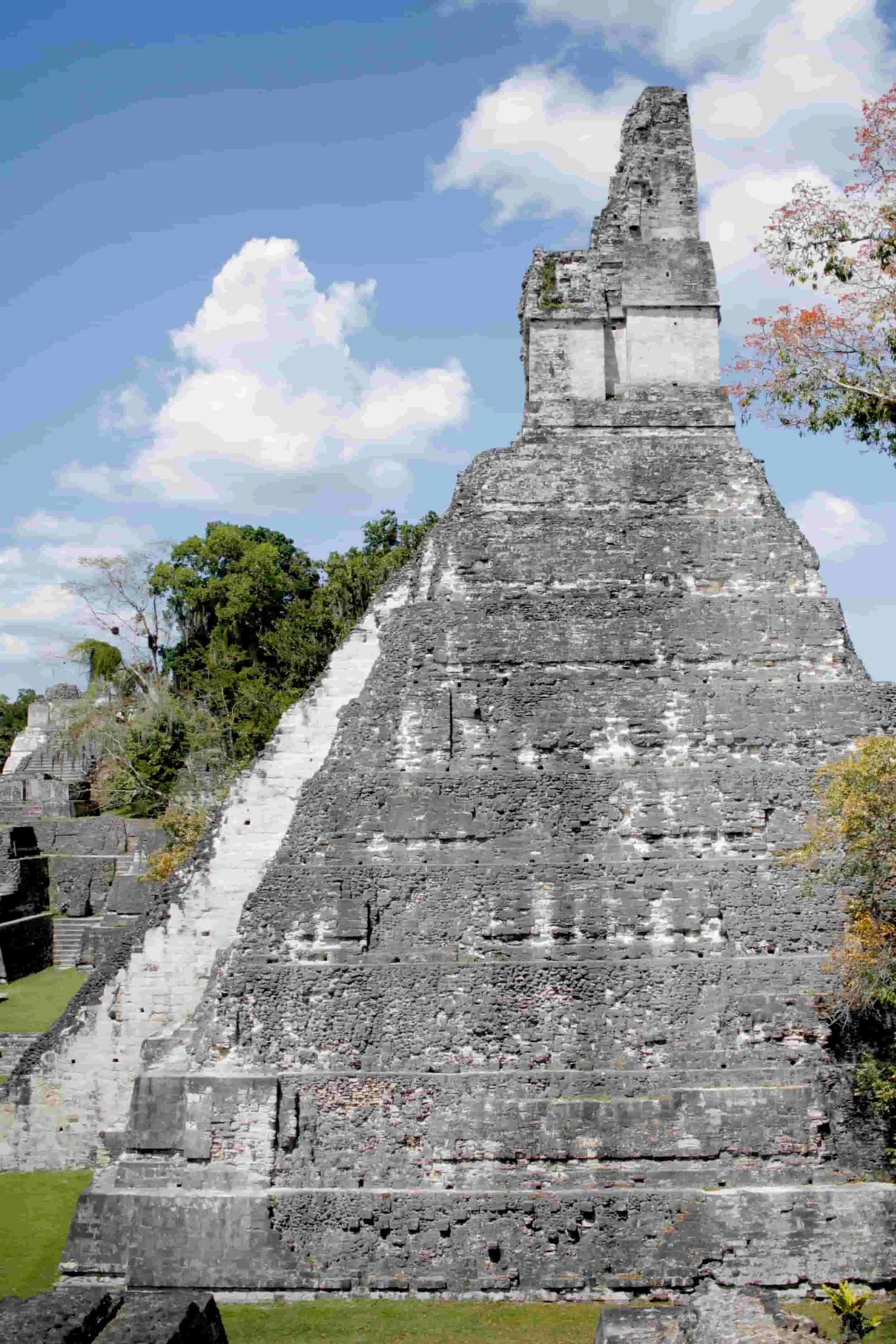 Ruins in the jungle of Tikal National Park in Tikal Guatemala