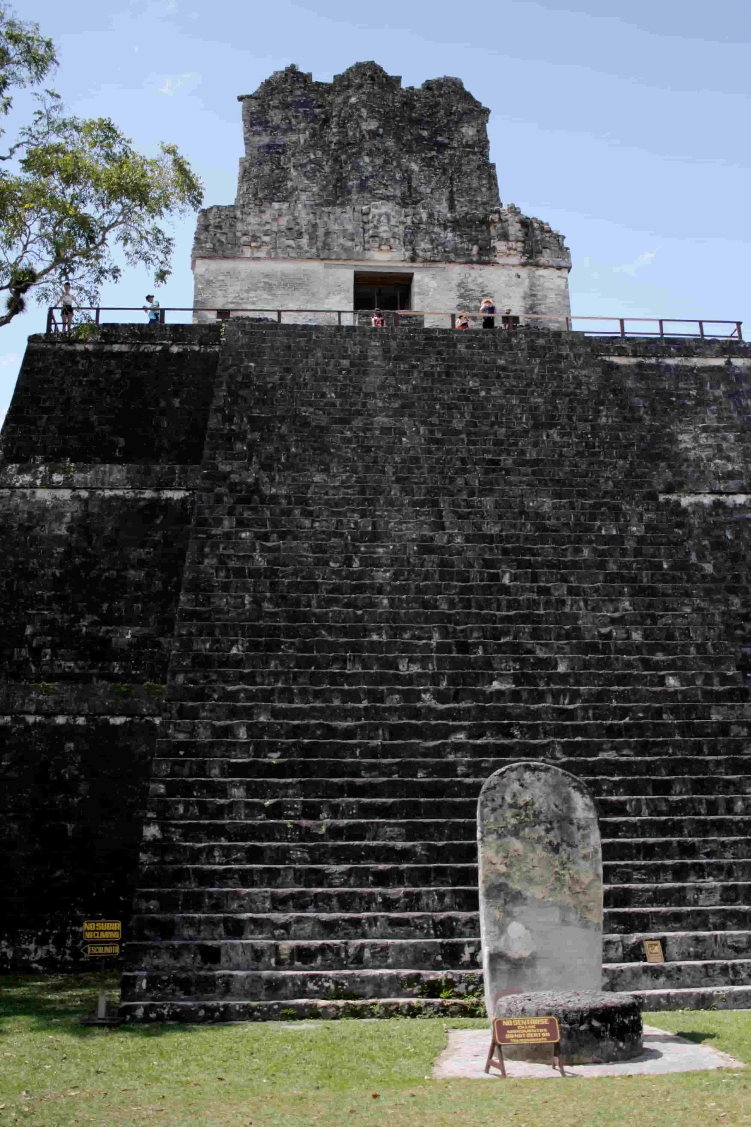 Ruins in the jungle of Tikal National Park in Tikal Guatemala