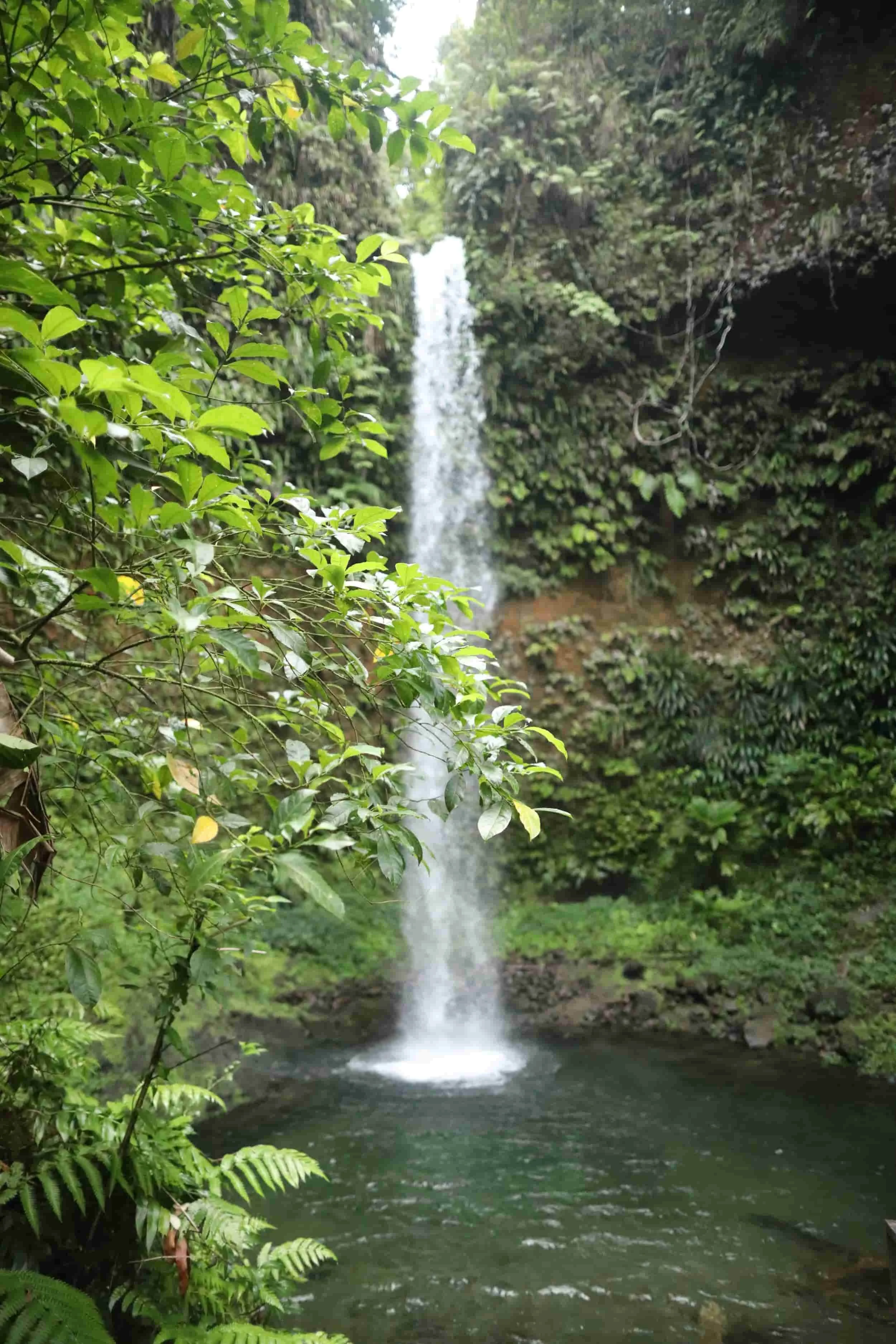 Waterfall in rainforest on Dominica