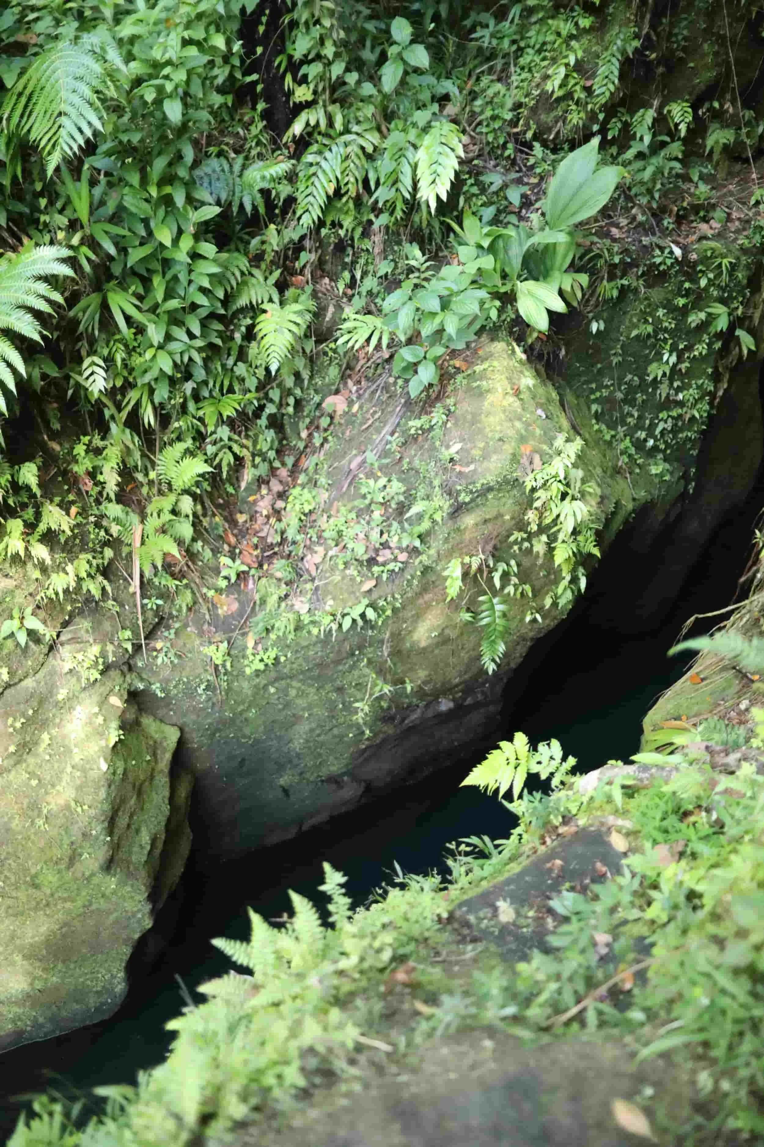 Titou Gorge on Dominica