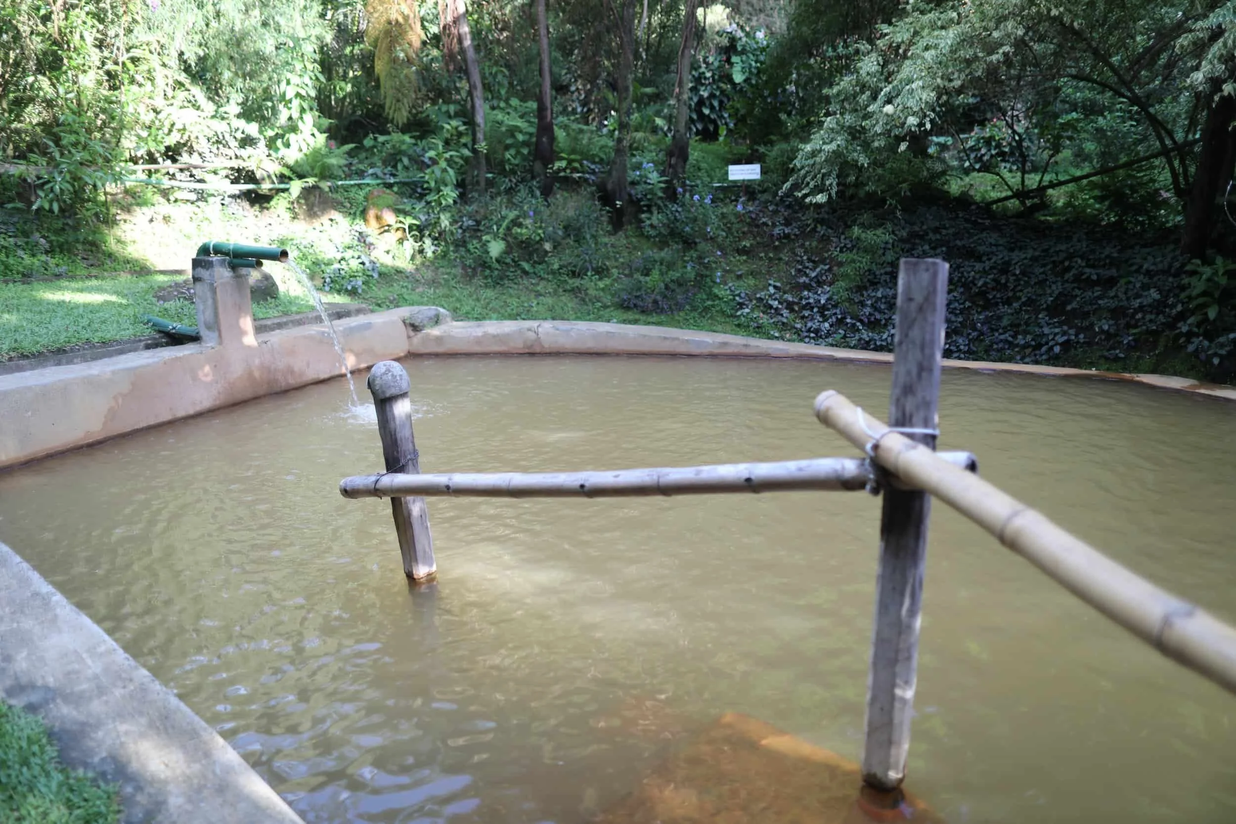 Pools at hot springs in Dominica