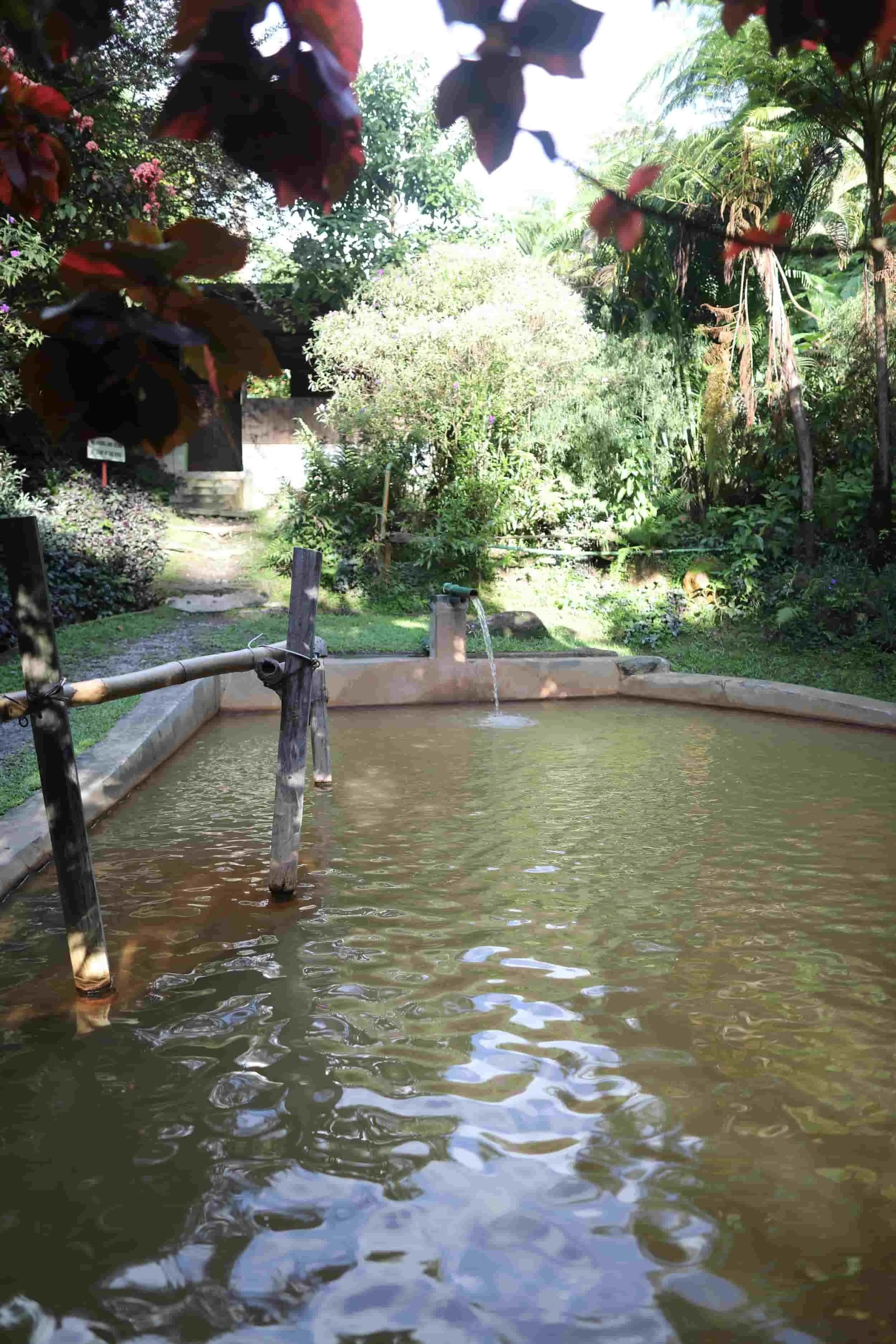 Pools at hot springs on Dominica Island