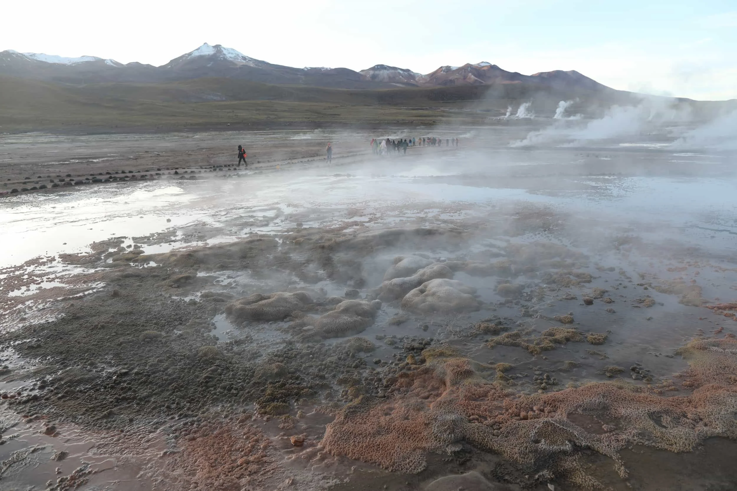Panoramic view of El Tatio Geysers in Chile, with geothermal steam rising across the high-altitude Andes.