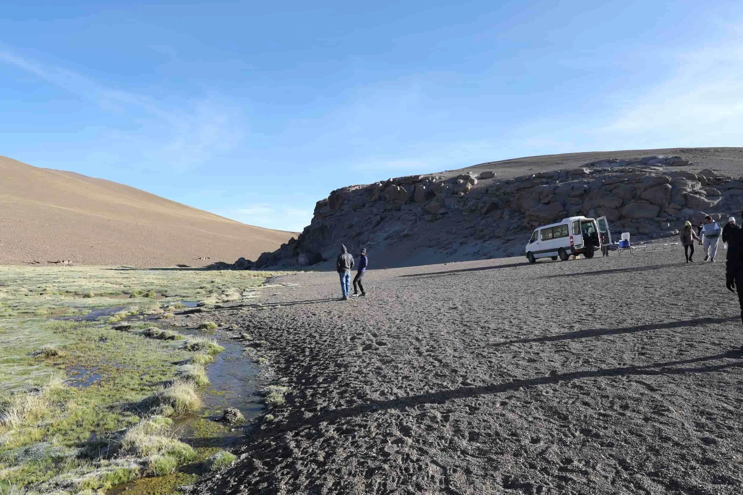 Lush high-altitude wetlands and mountain scenery along the return journey from El Tatio Geysers.