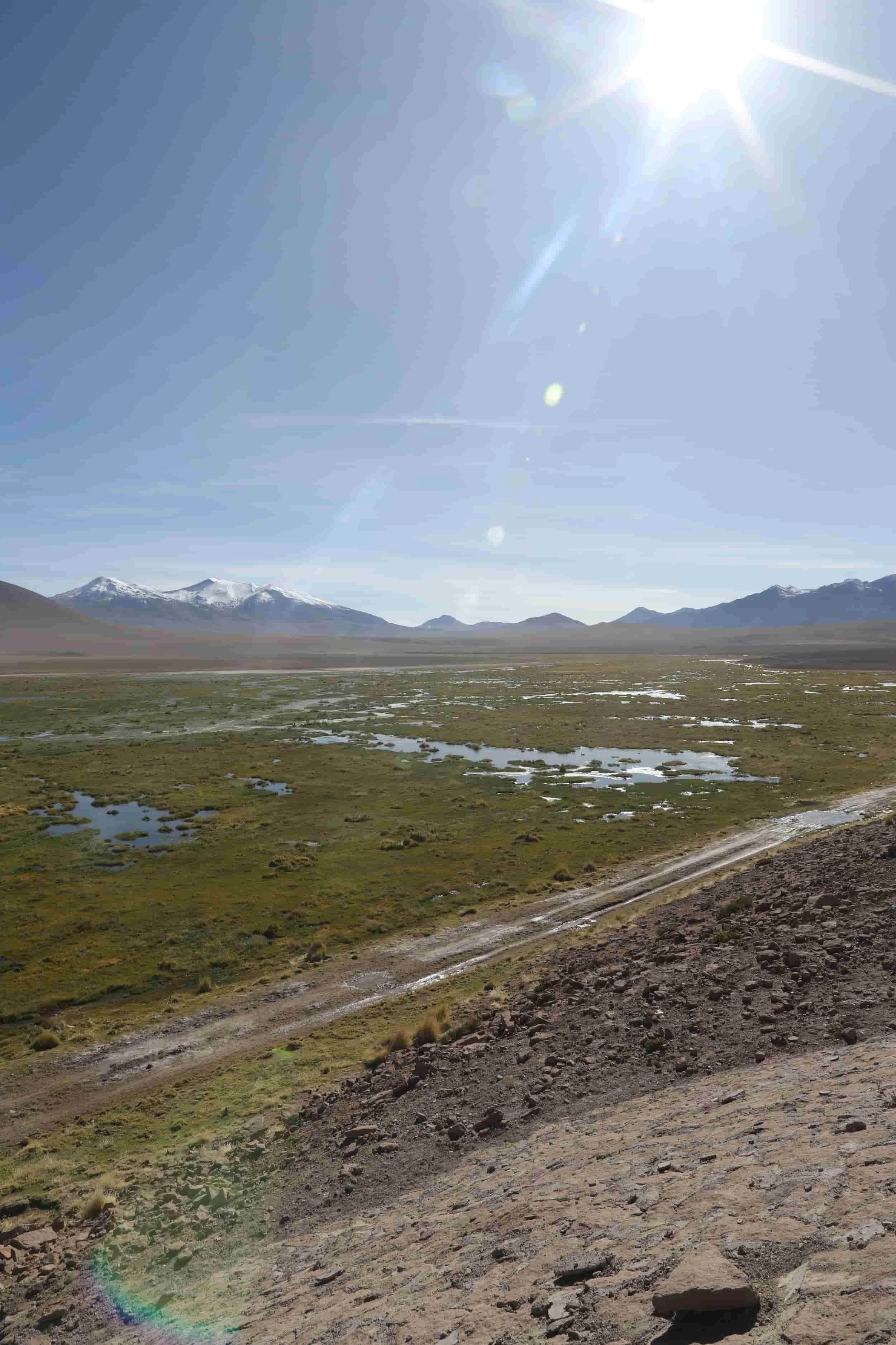 The Putana River winding through green Andean wetlands surrounded by volcanic mountains in northern Chile.