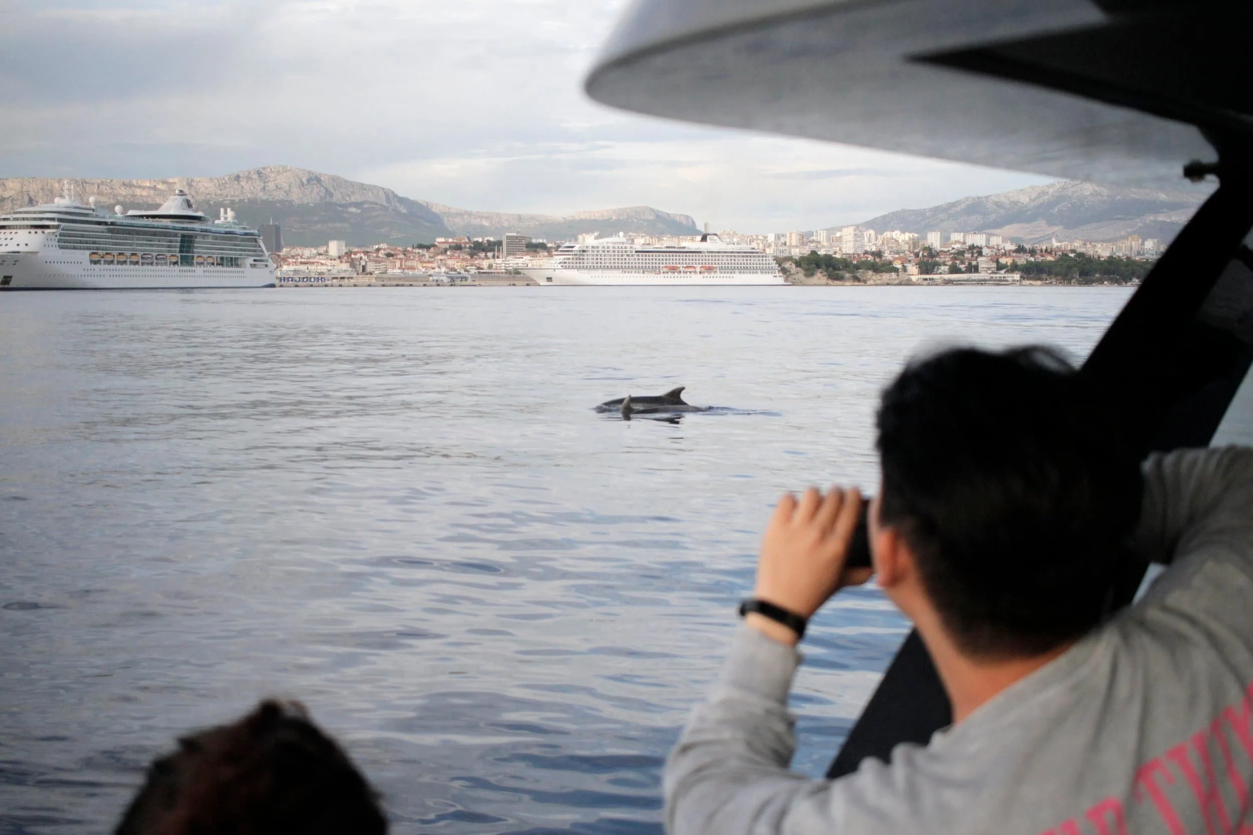 Sunset views of the Adriatic toward Split from a boat with dolphins in the water