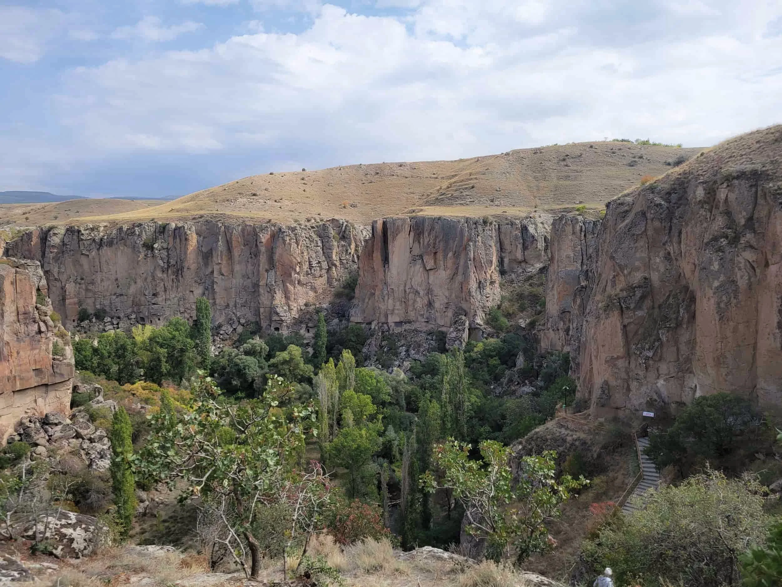 Large canyon with steep rocky walls and green plant life below