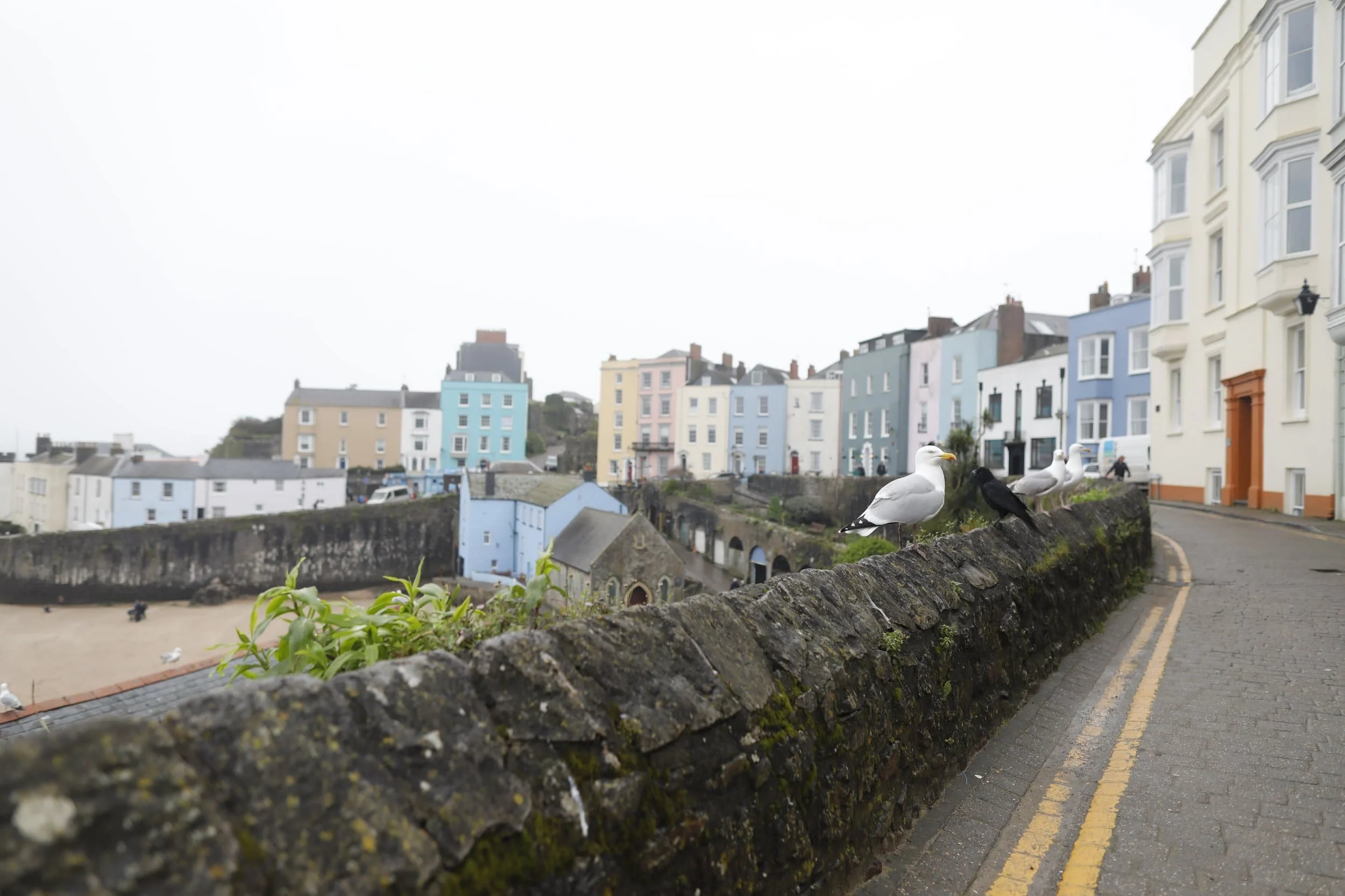 Views from above of the foggy beach and bay in Tenby Wales