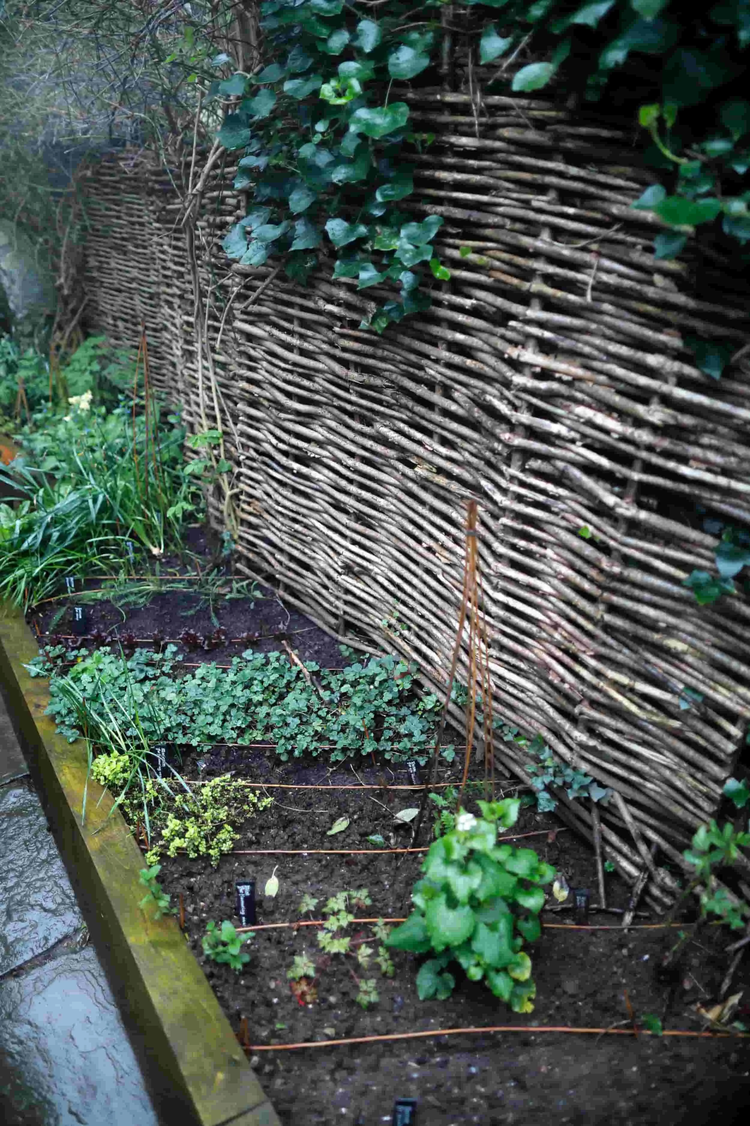 Views of the back patio at the Tudor Merchant's House in Tenby Wales