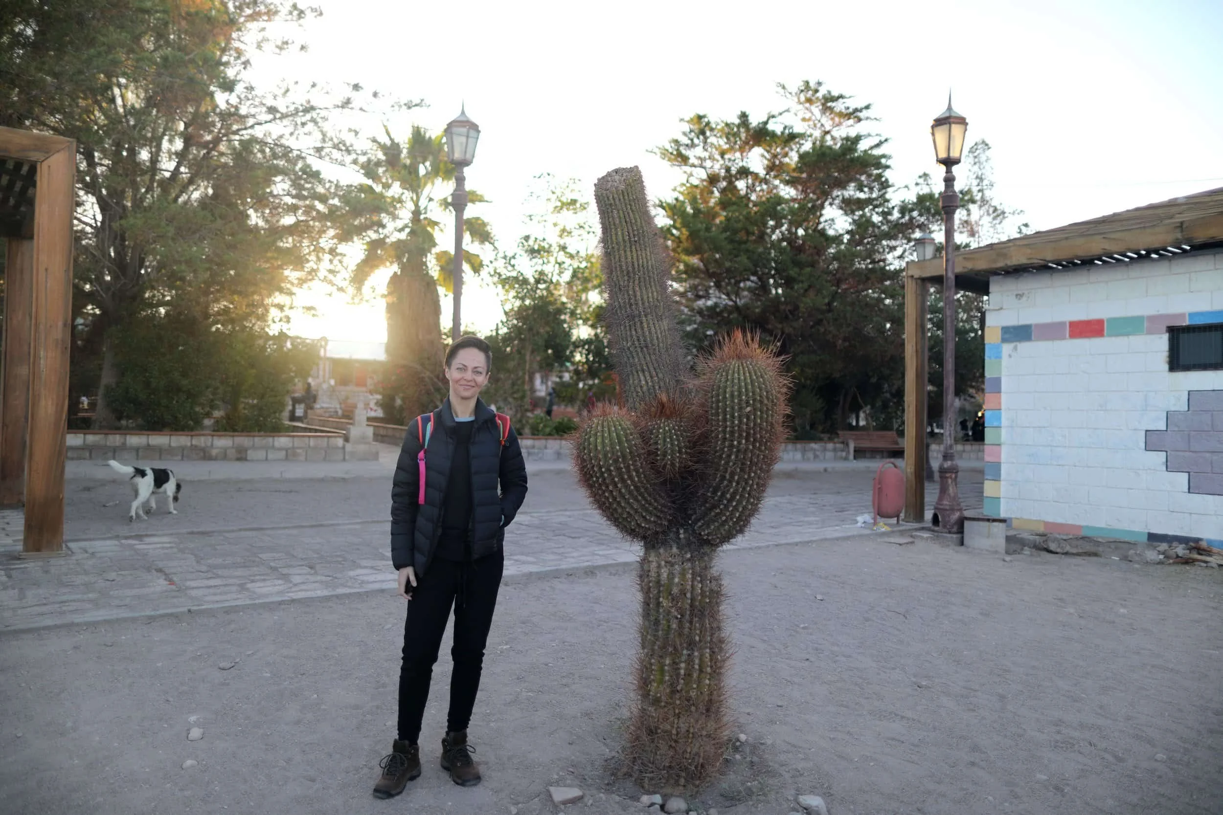 Girl standing beside large cactus in the Village of Toconao in San Pedro de Atacama in Chile