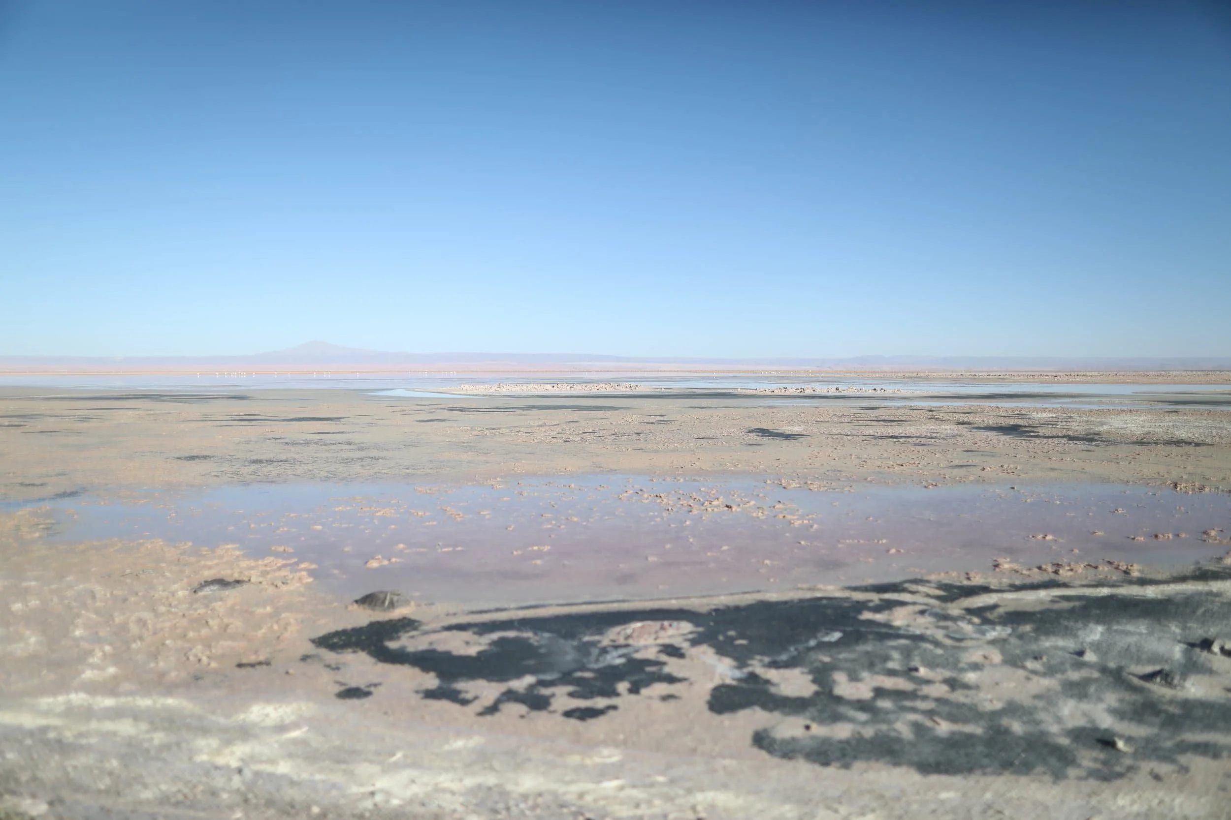 Chaxa Lagoon at Los Flamencos National Reserve near San Pedro de Atacama in Chile
