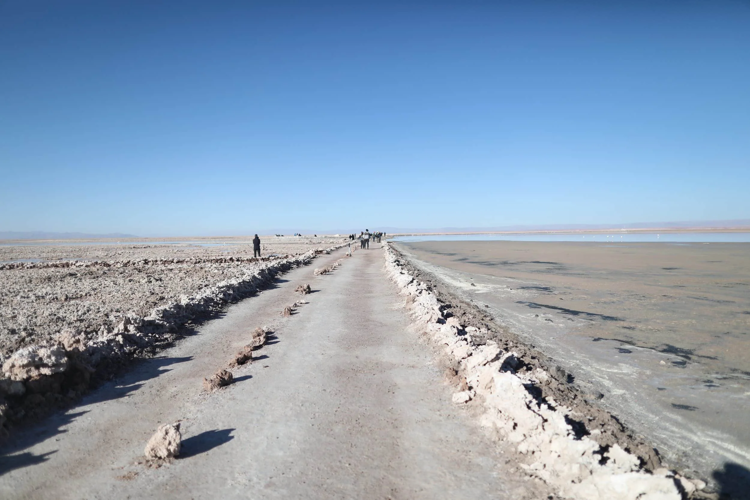 Chaxa Lagoon at Los Flamencos National Reserve near San Pedro de Atacama in Chile