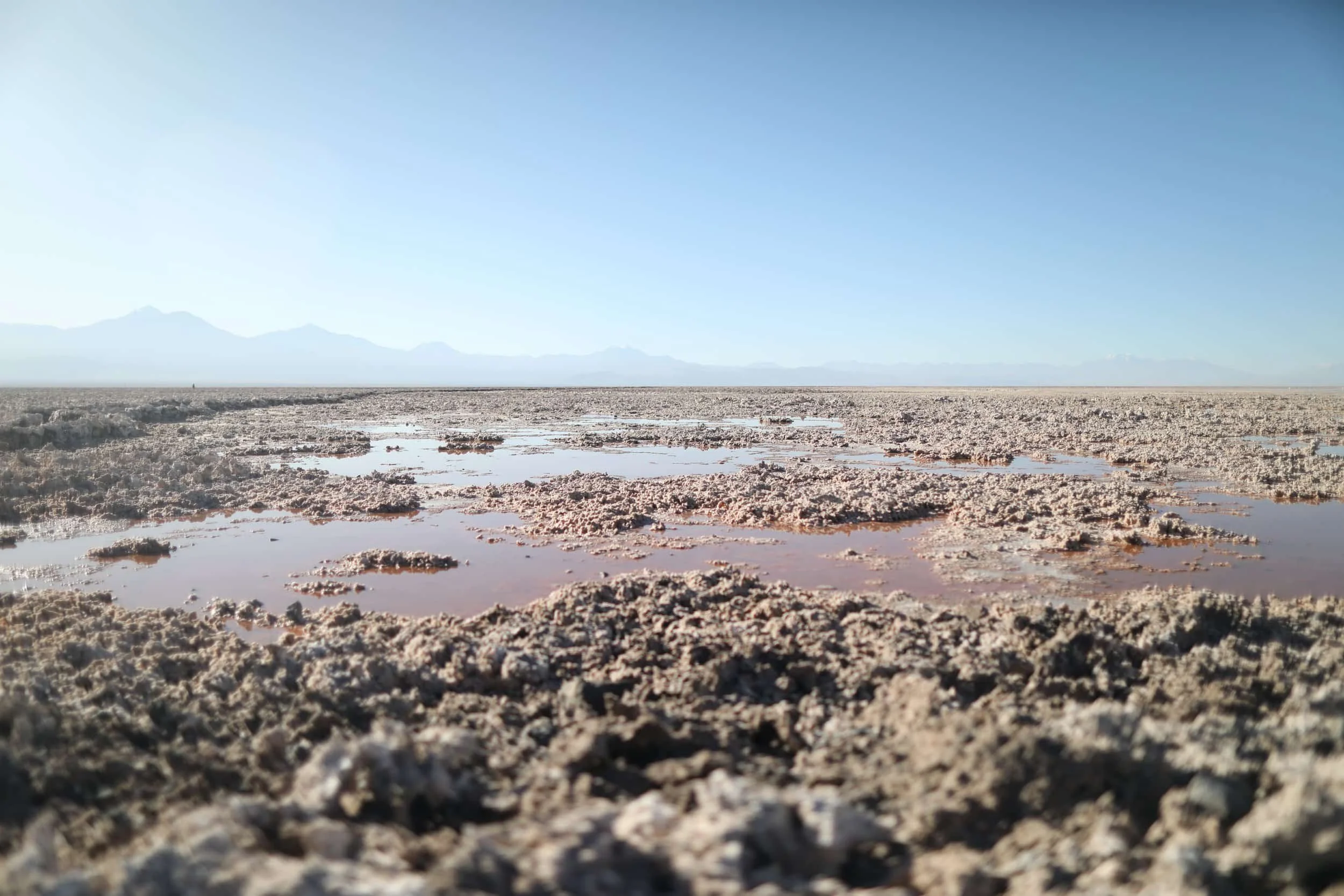 Chaxa Lagoon at Los Flamencos National Reserve near San Pedro de Atacama in Chile
