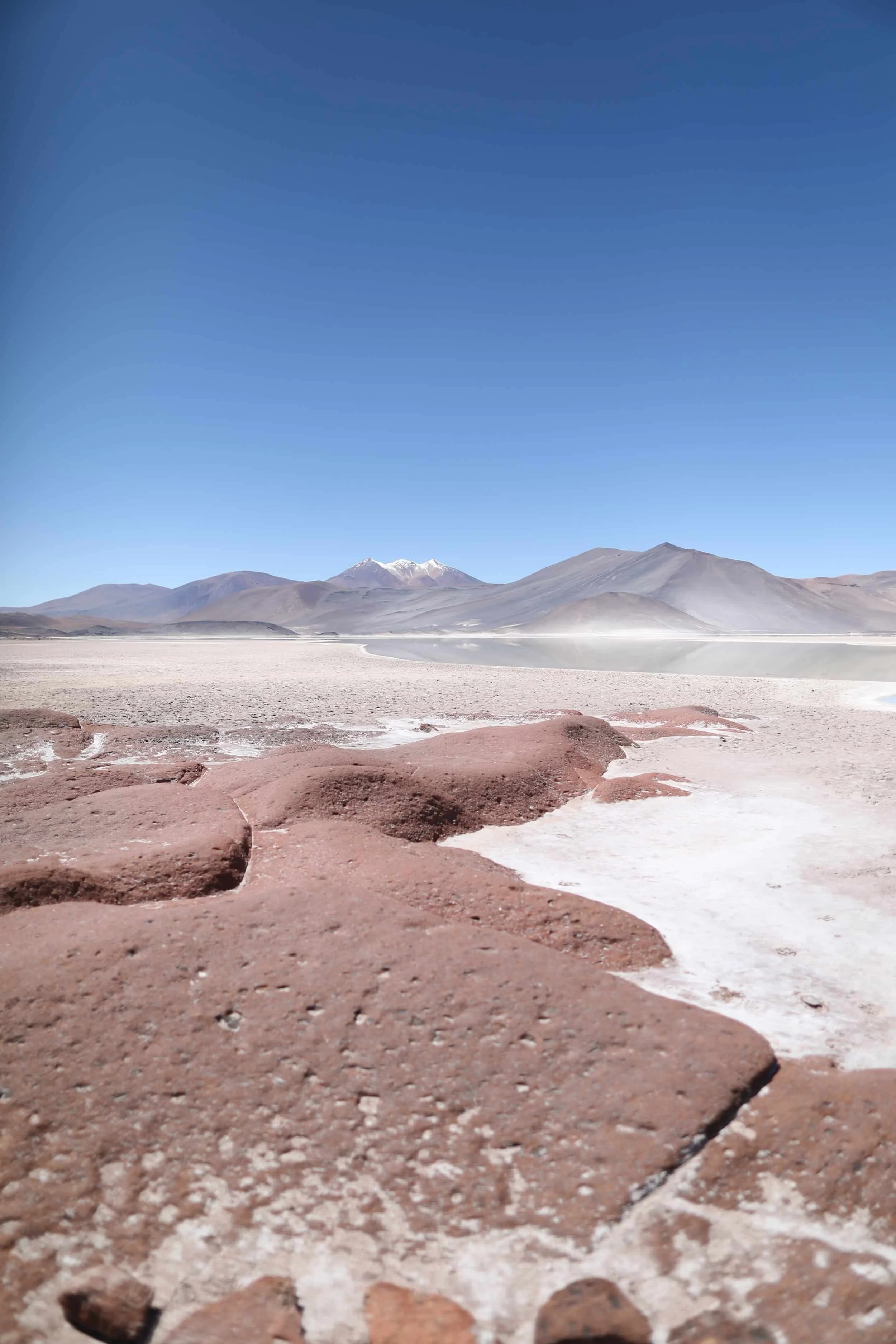 Desert with red rocks and mountains in the distance at Piedras Rojas in Atacama Desert in Chile