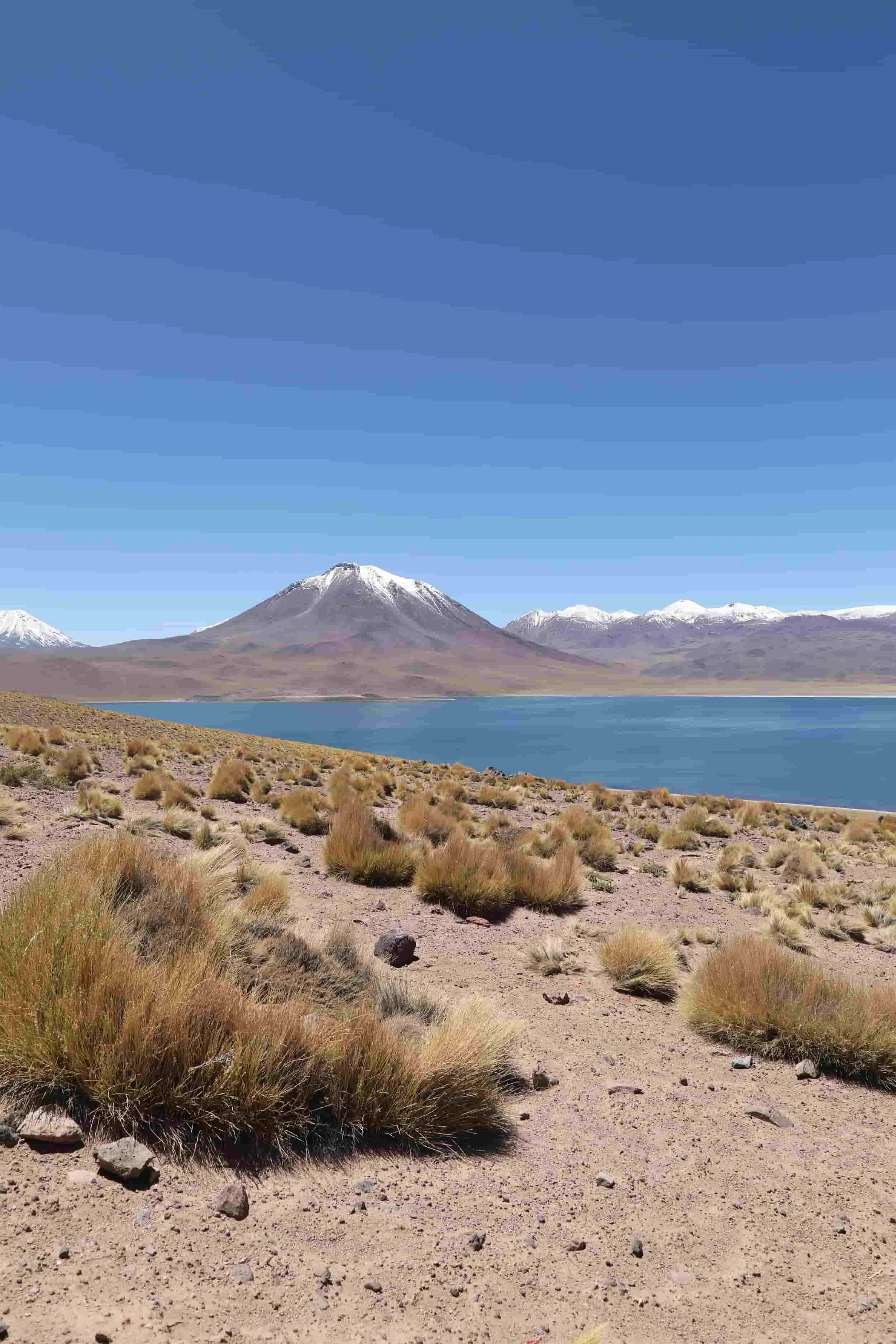 Desert views of Altiplanic Lagoon of Miscanti with snow topped mountains in the background