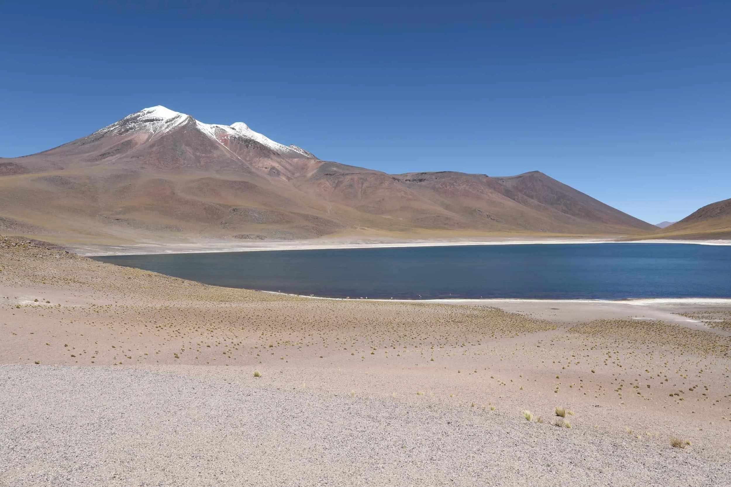 Laguna Miñiques in the Atacama desert of Chile