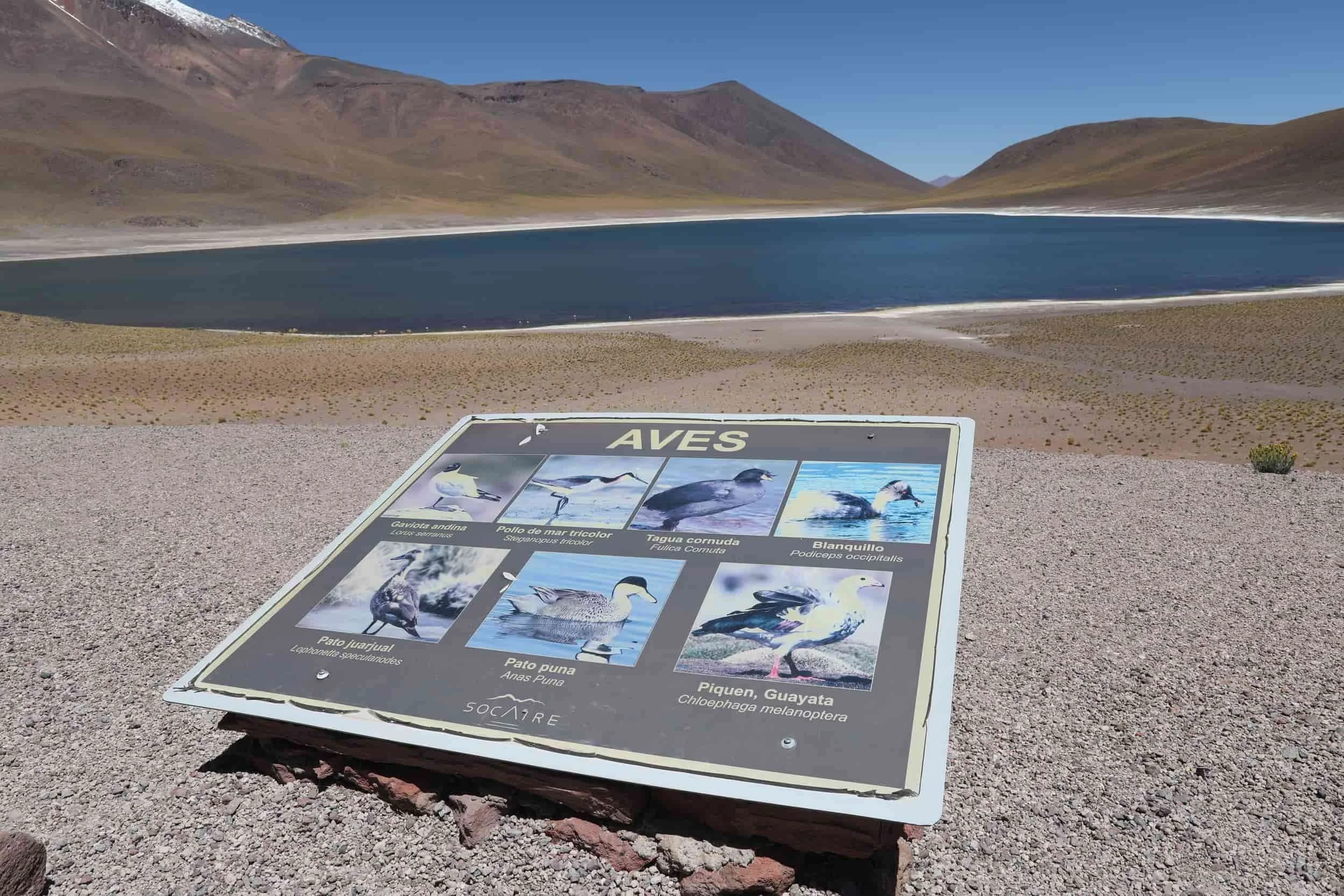Sign plaque in front of Laguna Miñiques in the Atacama desert of Chile