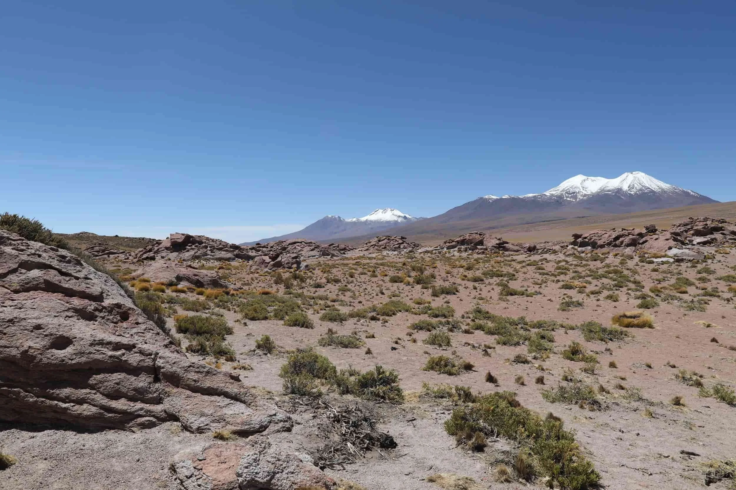 Desert views in the Atacama Desert with snow topped mountains in the background