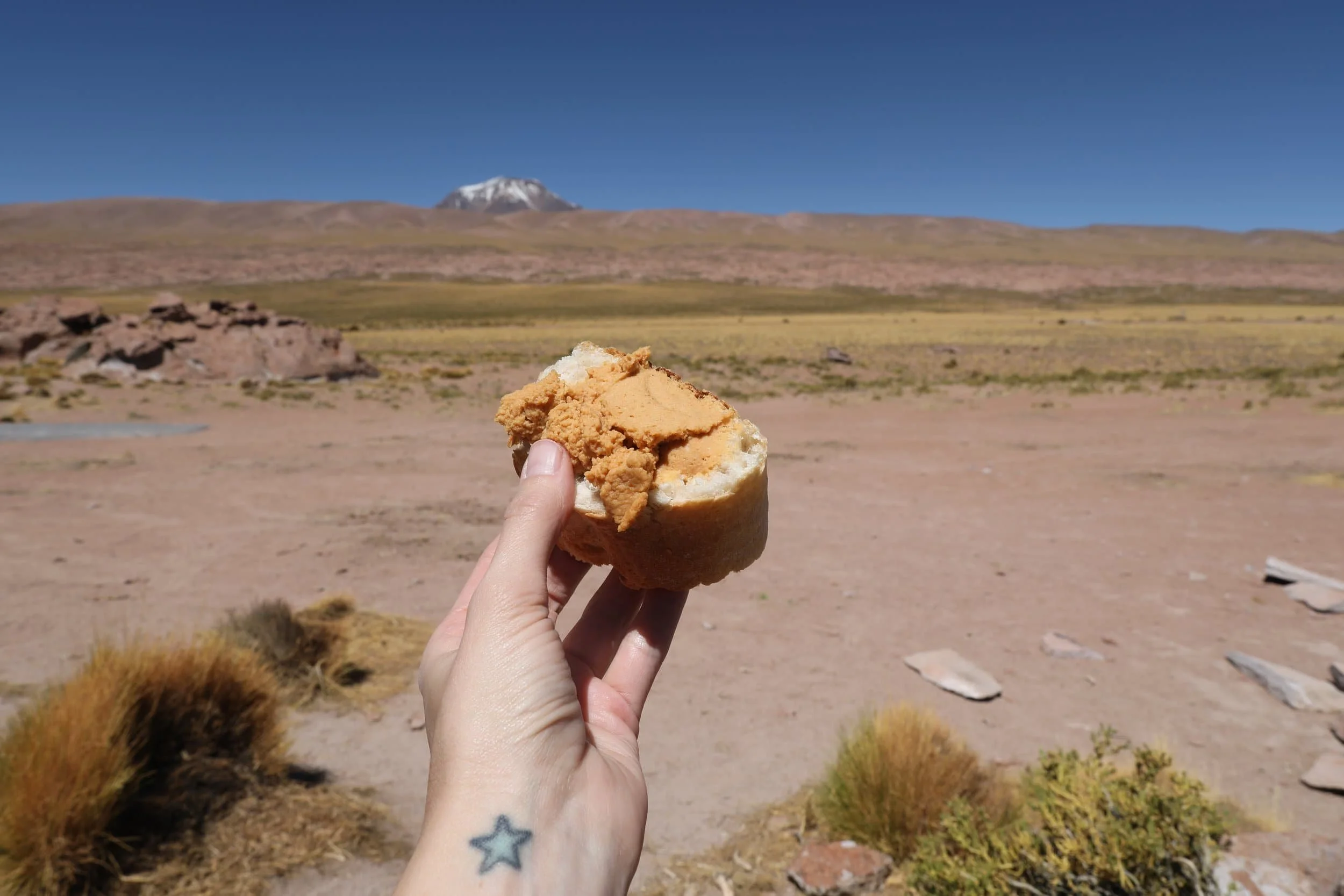 Hand holding up French bread topped with hummus, desert and mountains in the background